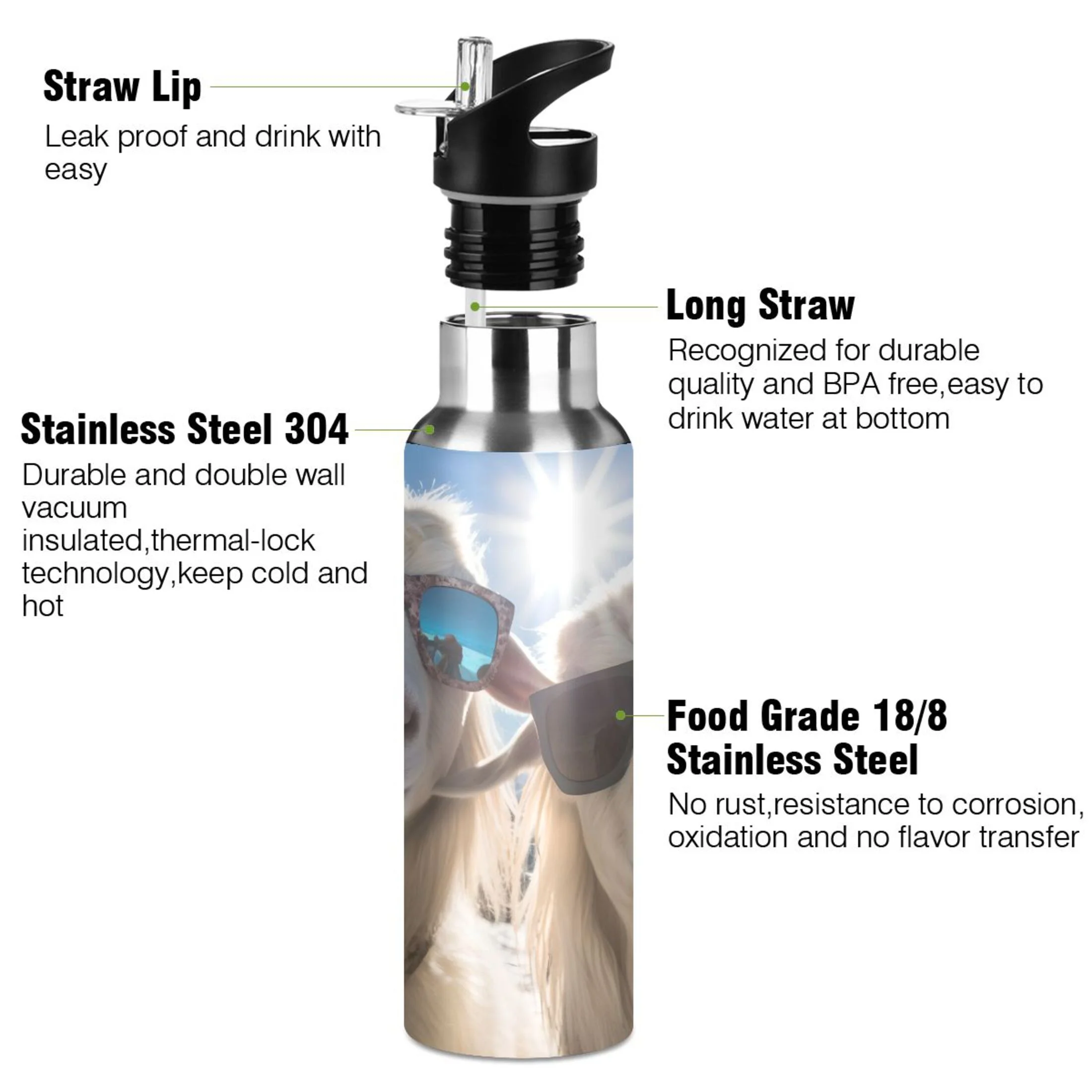 Sheeps with Glasses Water Bottles Insulated Thermos Kids Stainless Steel Bottle with Straw Lid Flask Leakproof for Sports Gym 20 oz