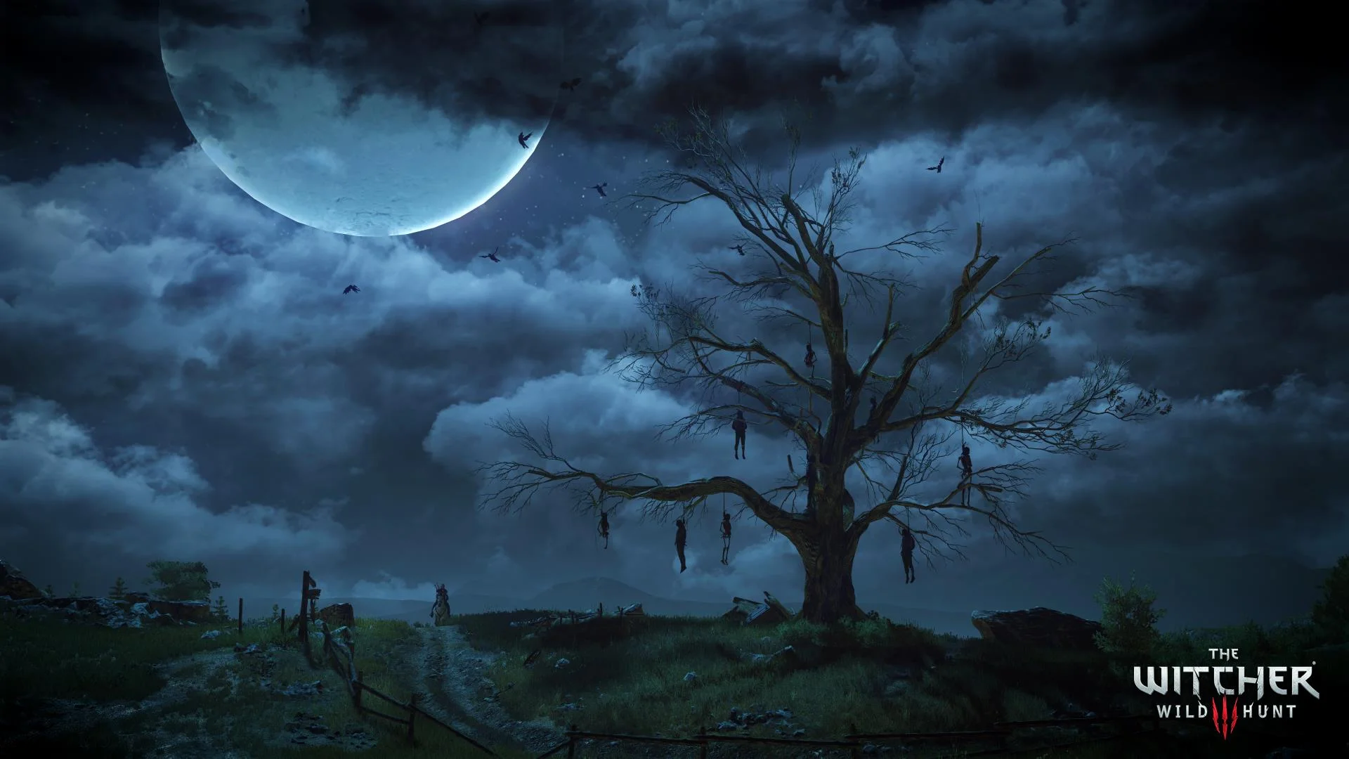 The Witcher 3 Wild Complete Warner Bros, Xbox One, 883929556502