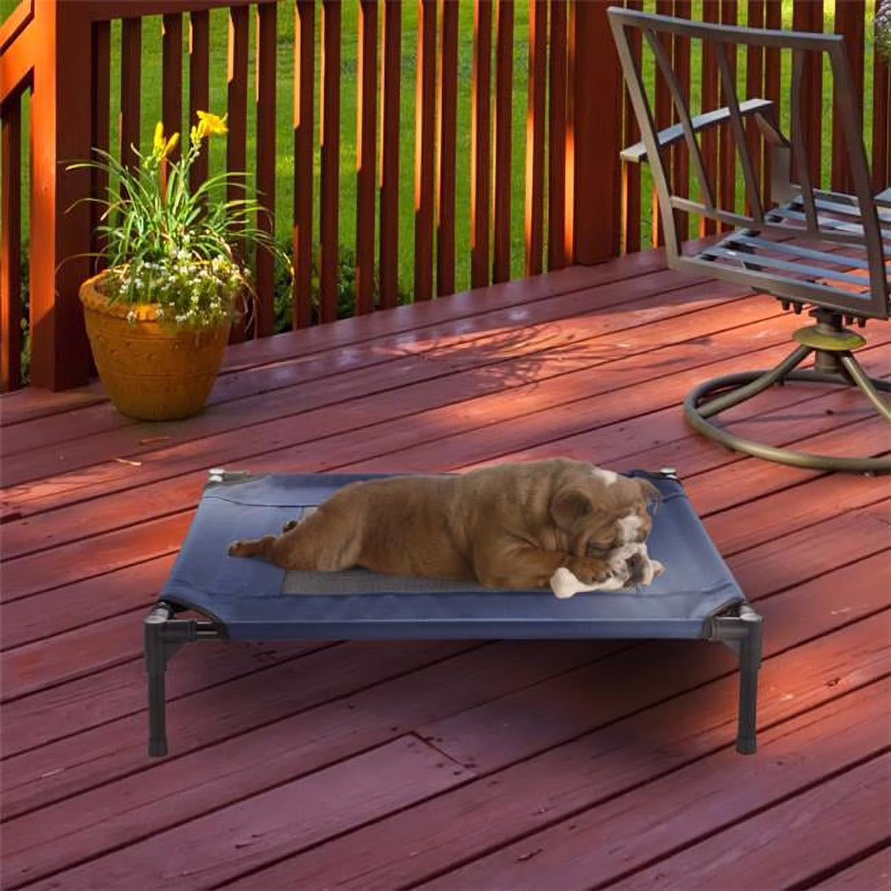 Portable Raised Cot-Style Elevated Pet Bed, Blue