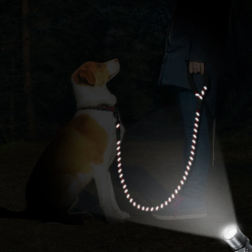 4.9ft Dog Walking Training Leash Reflective Nylon Lead Rope Soft Padded Handle