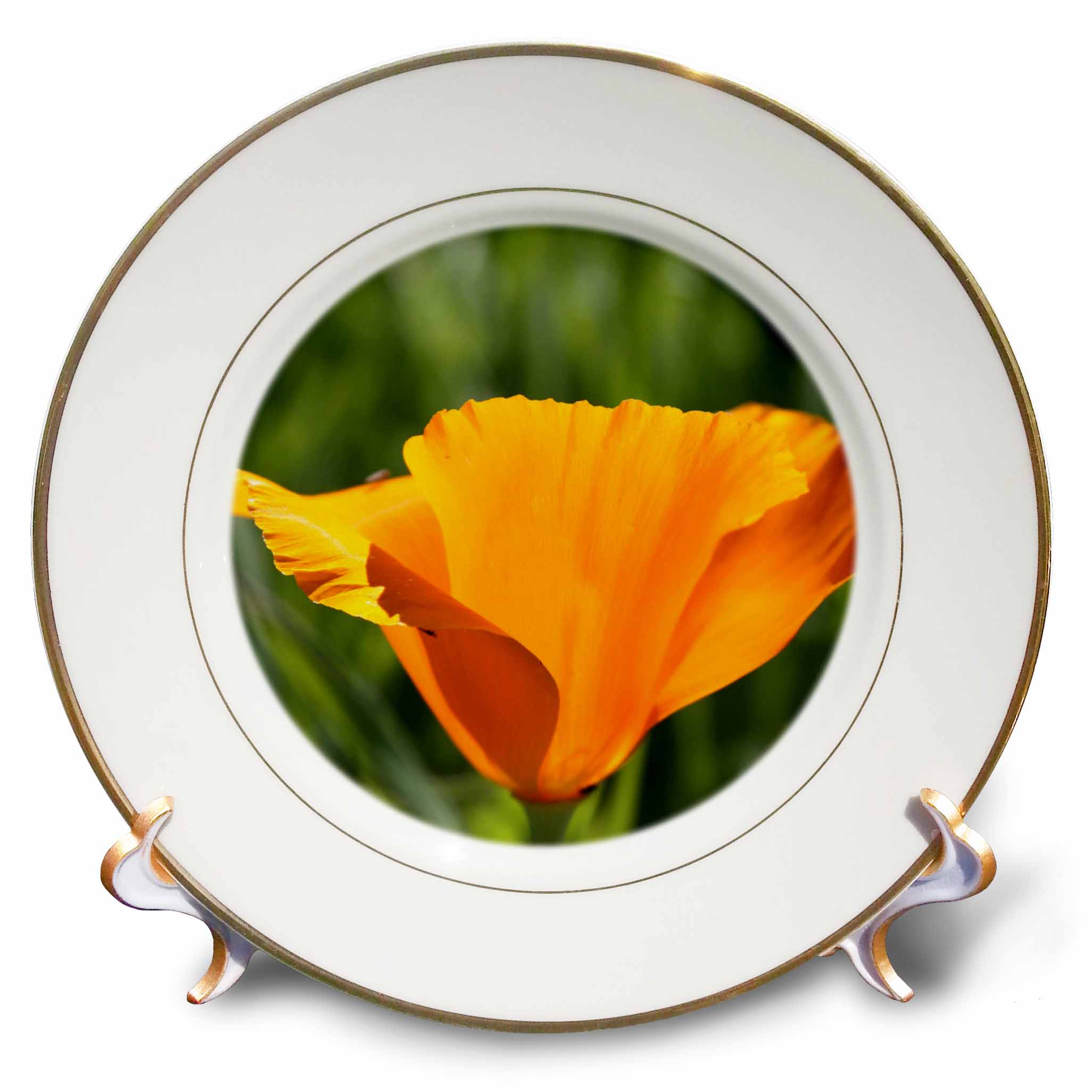 Beautiful Orange California Poppy Flower- Spring Photography 8 inch Porcelain Plate cp-41200-1