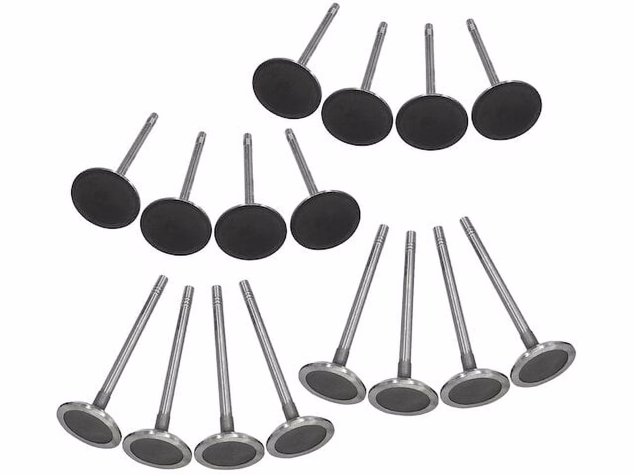 Intake and Exhaust Valve Kit - Compatible with 2000 - 2007 Dodge Dakota 4.7L V8 2001 2002 2003 2004 2005 2006