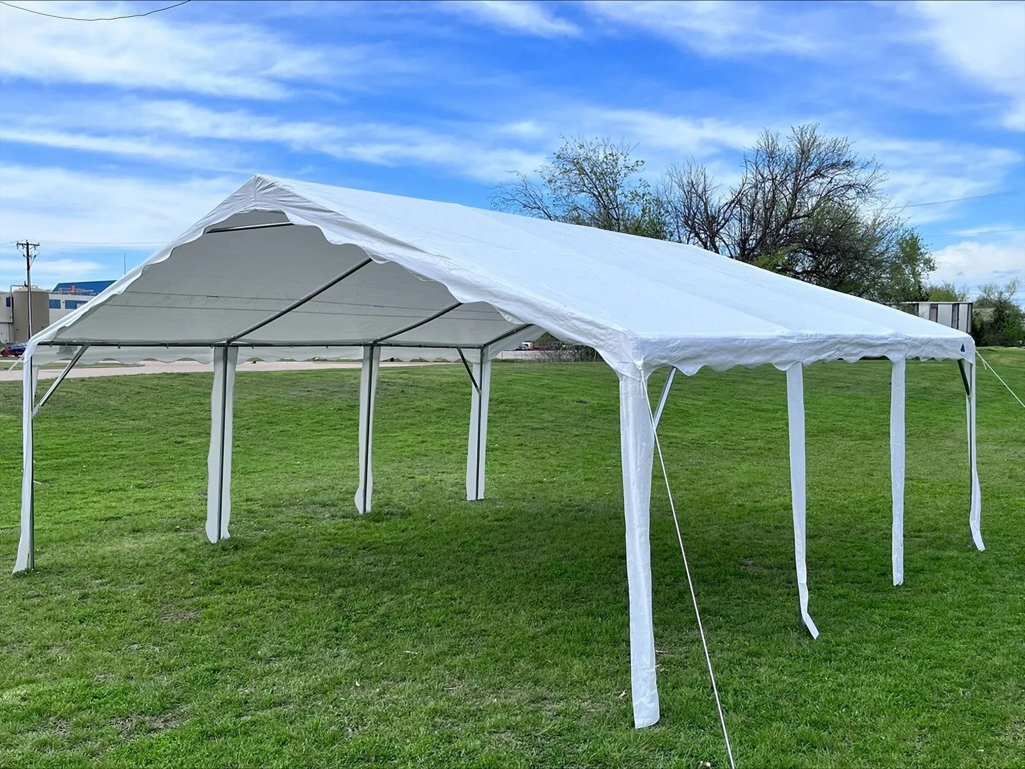 Delta Canopy 20'x20' Budget PE Party Tent Canopy Shelter with Waterproof Top - B Model