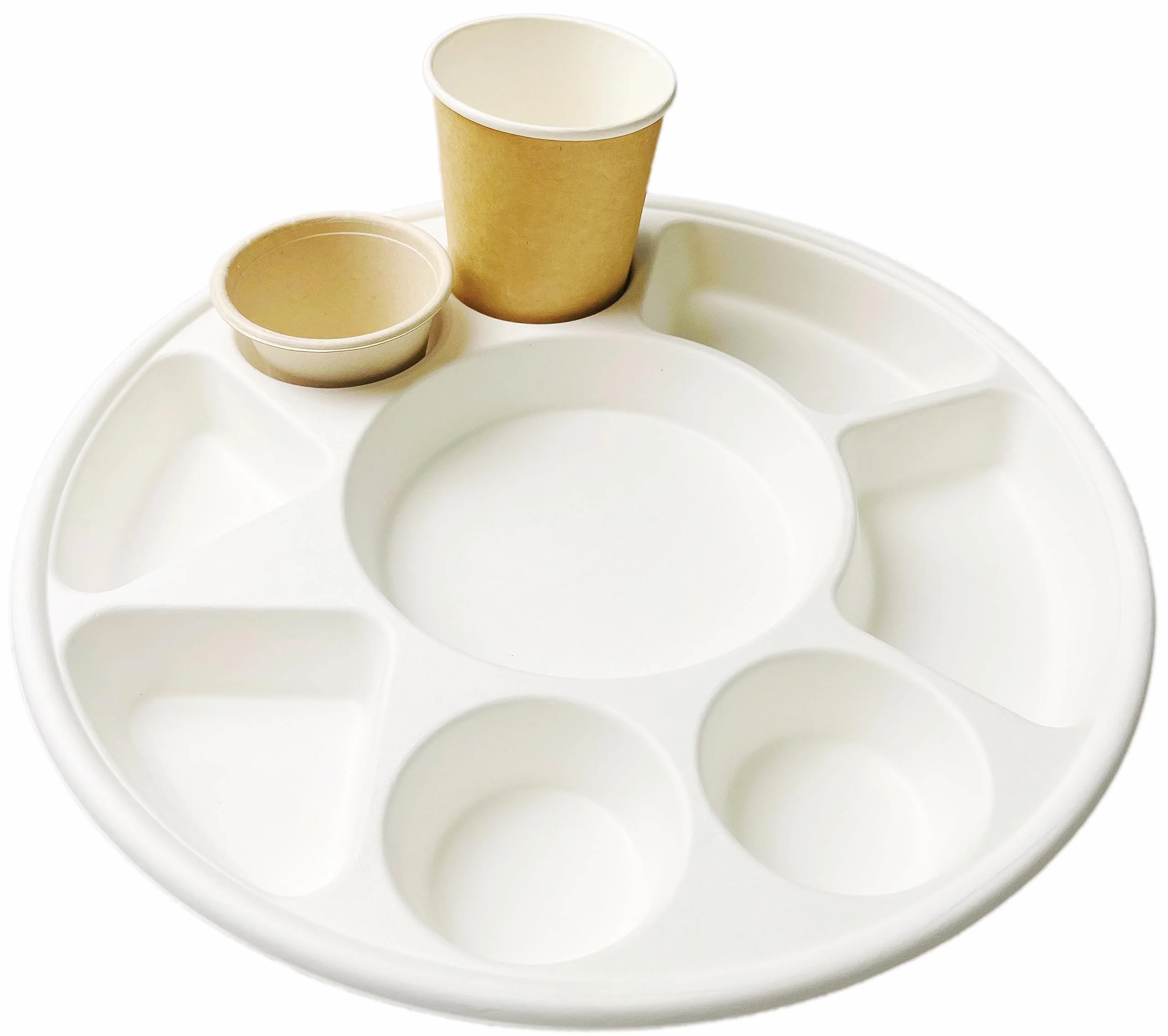 Rani Round Biodegradable Divided Plates, Pack of 50, 9 Compartments ~ Disposable & Eco-Friendly | 12.44
