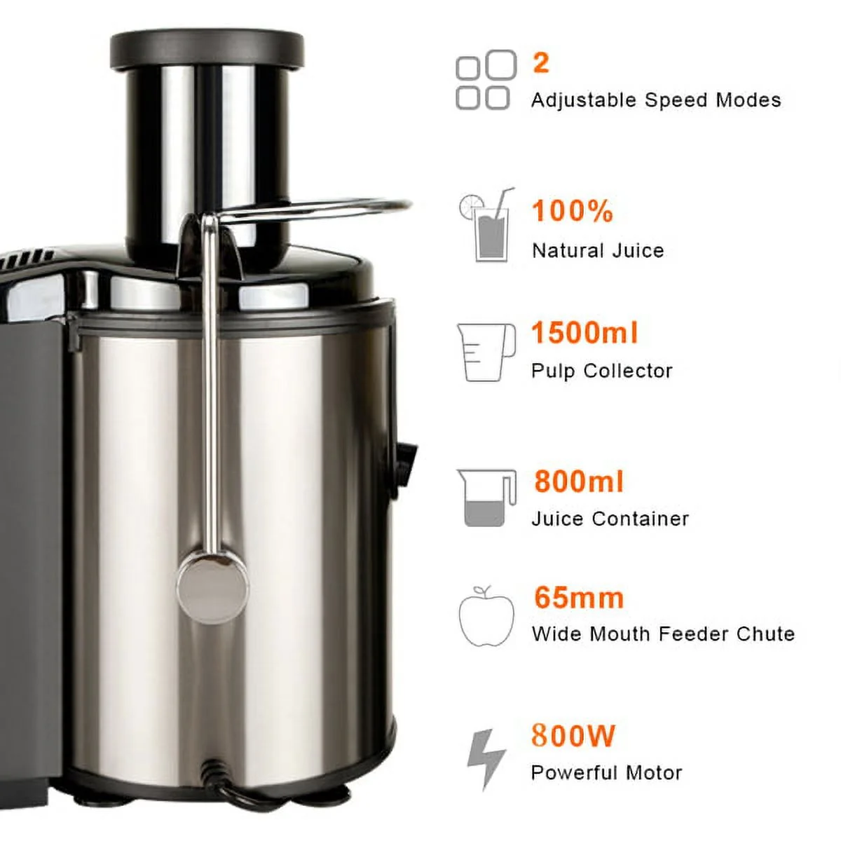 800W 110V Home Use Multi-function Electric Juicer US Plug Black