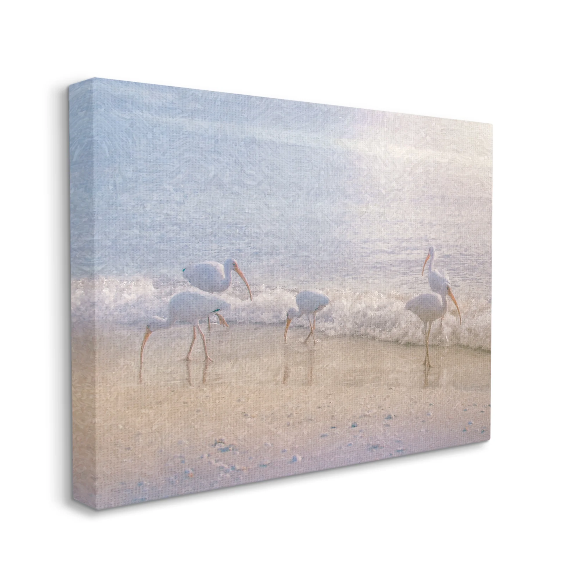 Stupell Seaside Waves Bird Flock Grazing Landscape Painting Gallery Wrapped Canvas Print Wall Art