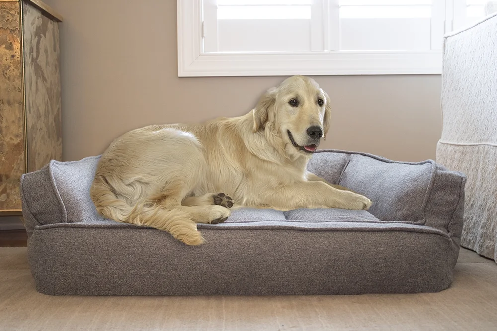 Arlee Memory Foam Sofa and Couch Style Pet Bed for Dogs and Cats