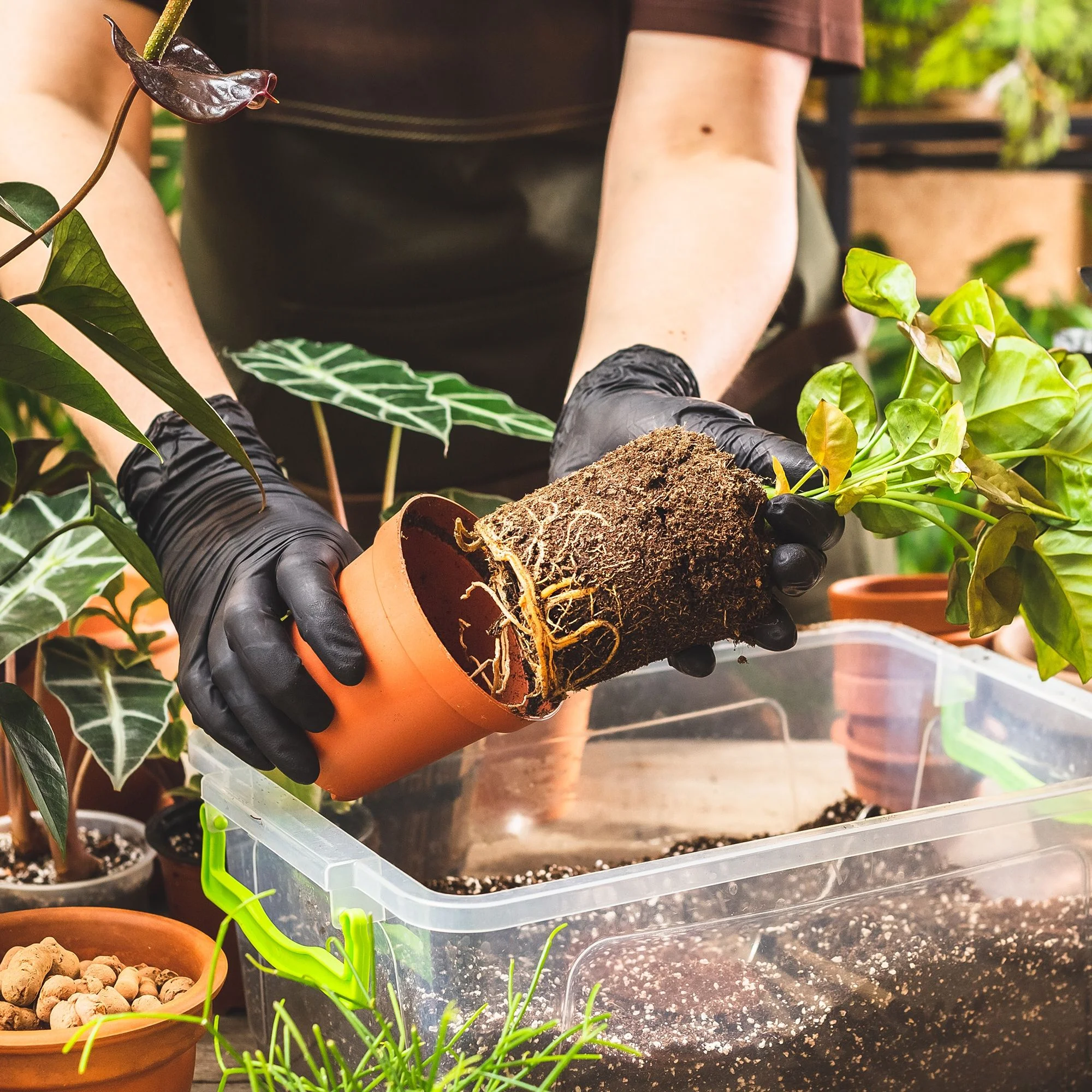 FifthPulse Extra Thick Black Heavy Duty Nitrile Disposable Gloves - 200 -XL-Powder and Latex Free - Mechanic Gloves