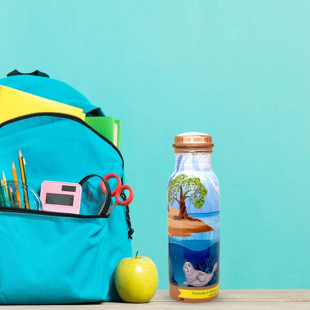 EcoBottles – Pure Copper Water Bottles 700ml Eco-Friendly Non-Insulated Copper Bottles