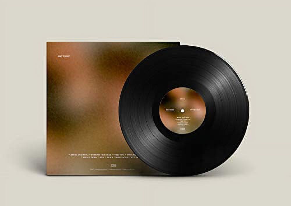 Big Thief - Two Hands - Vinyl