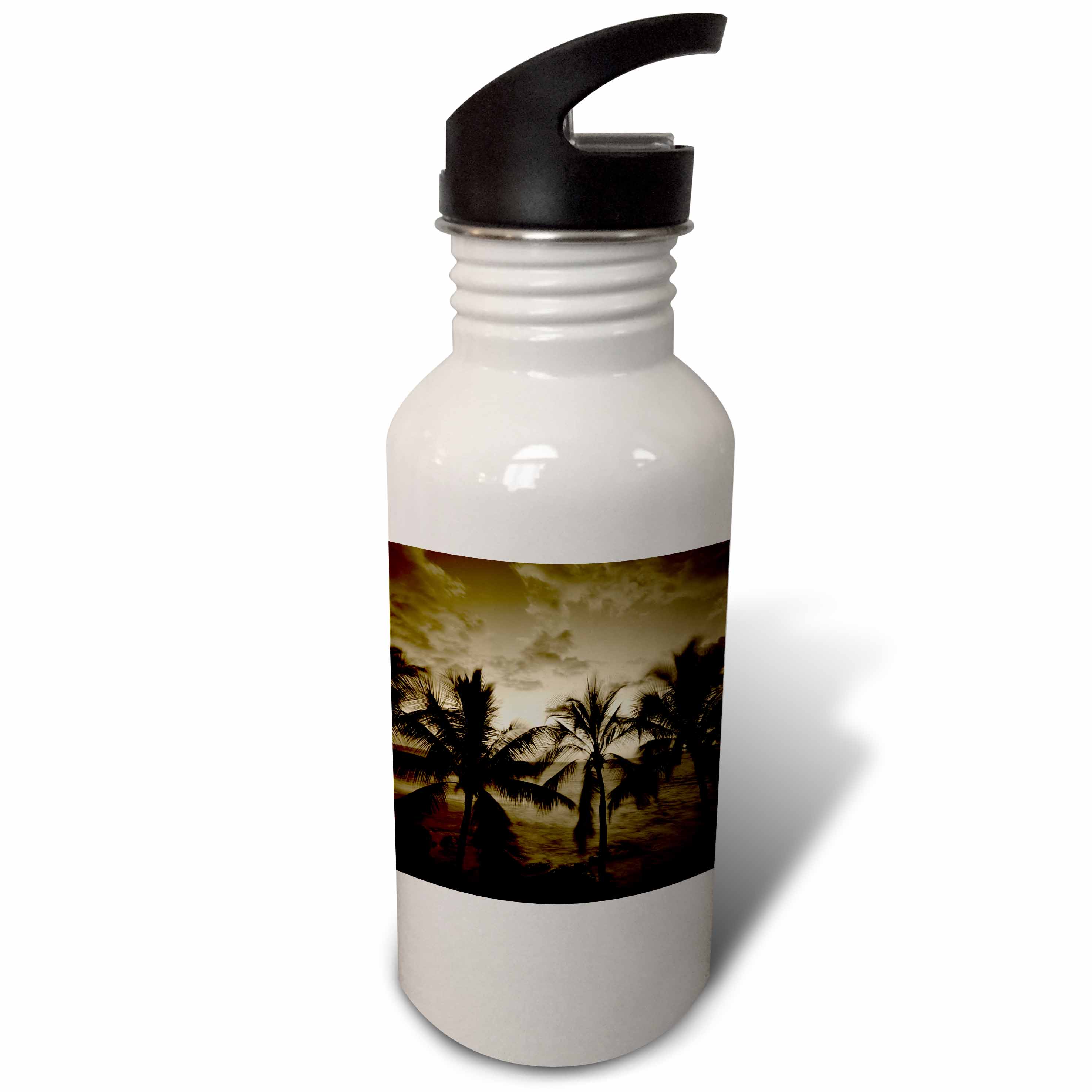 Beach palm trees, Kona, Hawaii, USA - US12 SWE0039 - Stuart Westmorland 21 oz Sports Water Bottle wb-144294-1