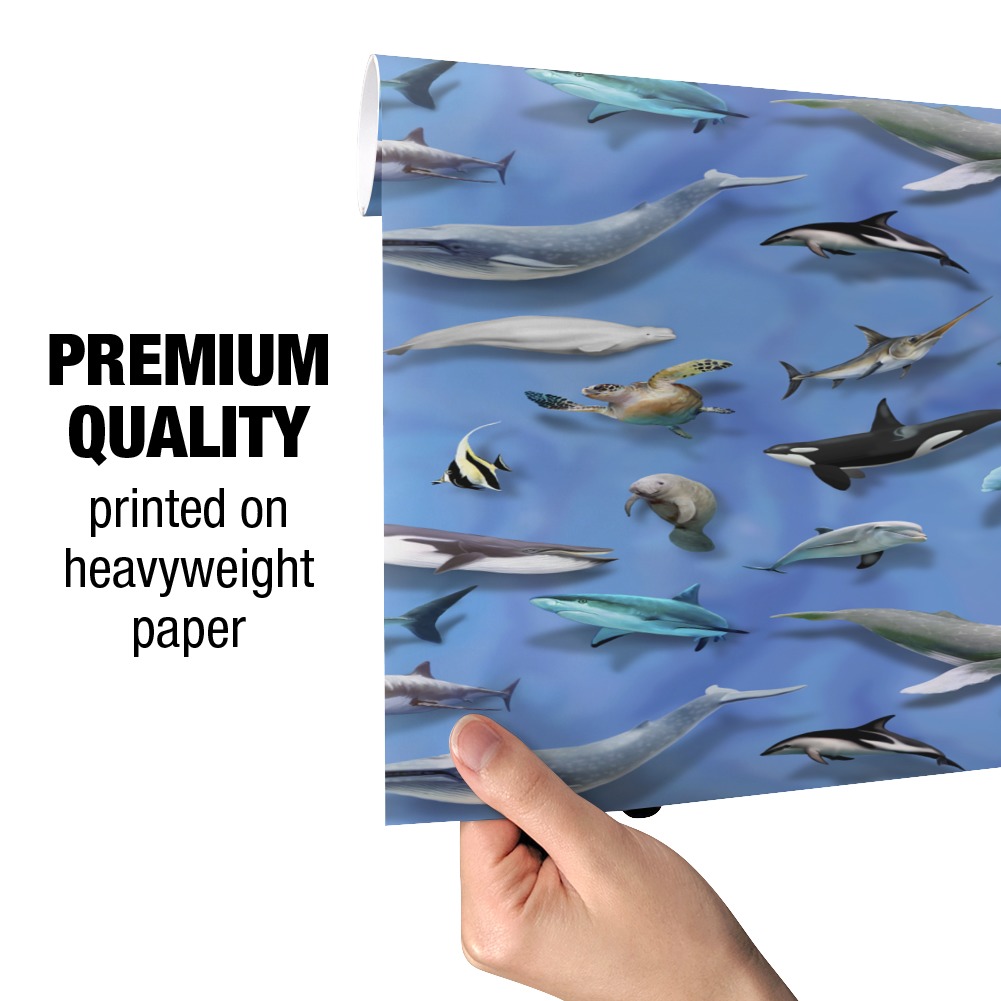 Ocean Life Whale Dolphin Manatee Shark Pattern Premium Roll Gift Wrap Wrapping Paper