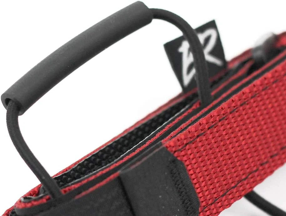 Backcountry Research Mutherload Frame Strap - Red