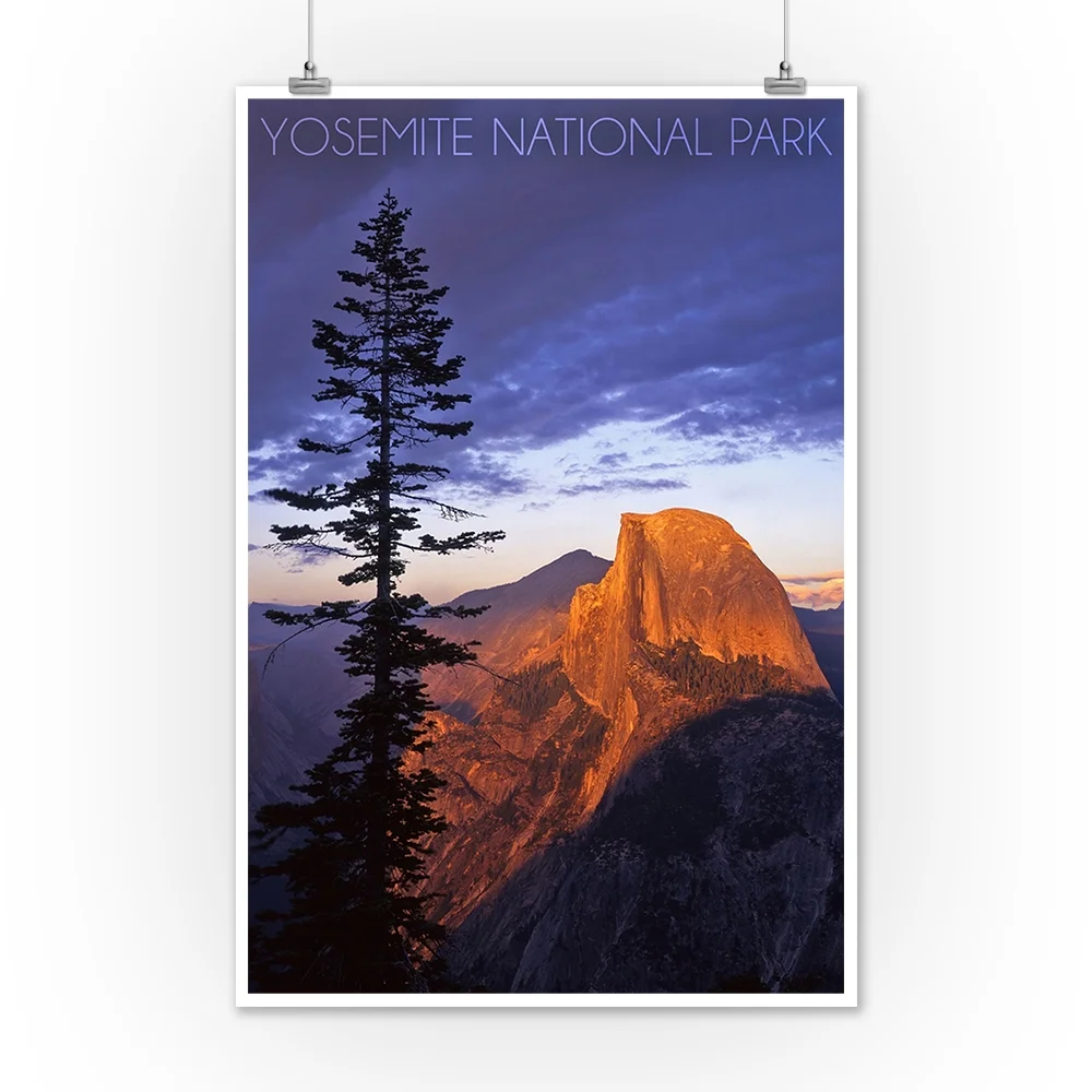 Yosemite National Park, California, Half Dome and Pine Tree (12x18 Wall Art Poster, Room Decor)