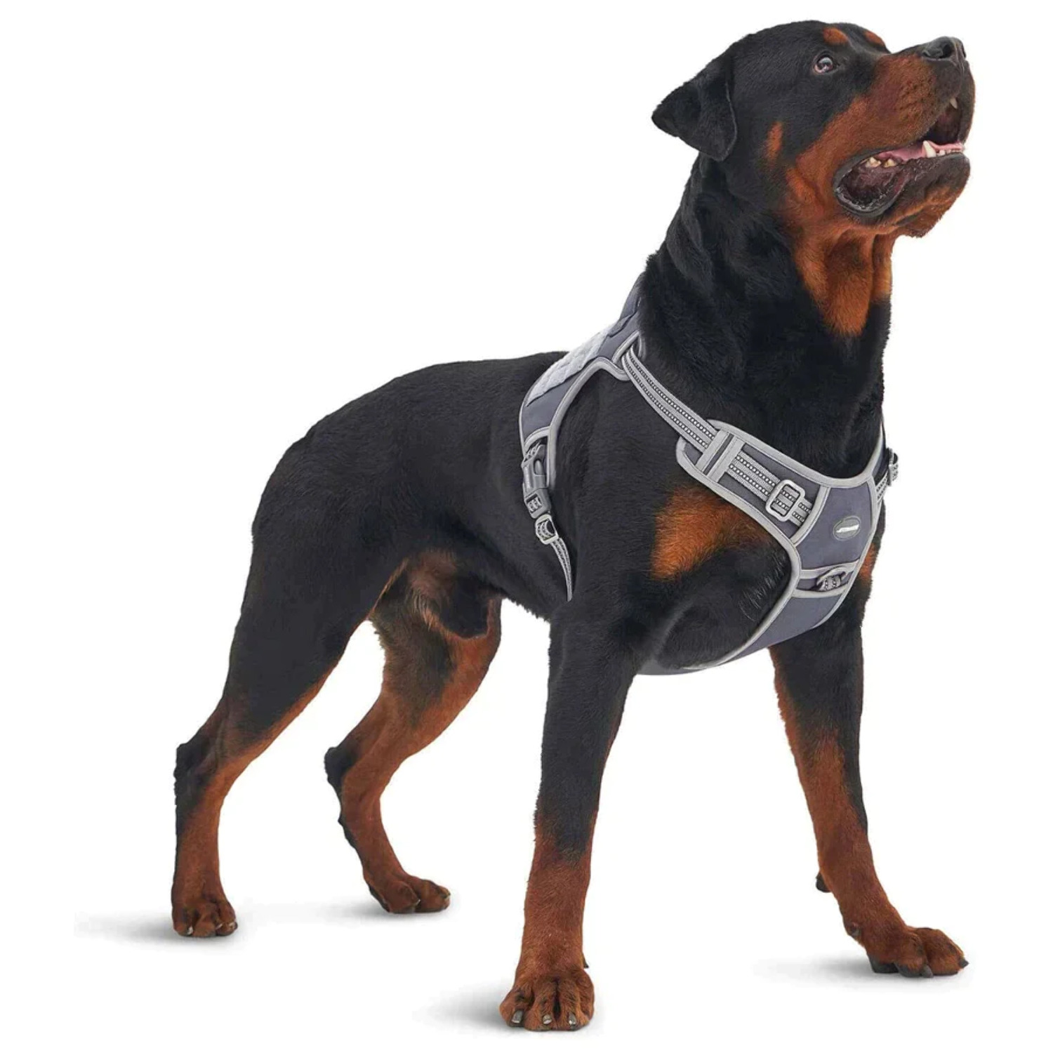 Auroth Tactical Dog Harness Adjustable Metal Buckles Dog Vest with Handle, No Pulling Front Leash Clip - Gray