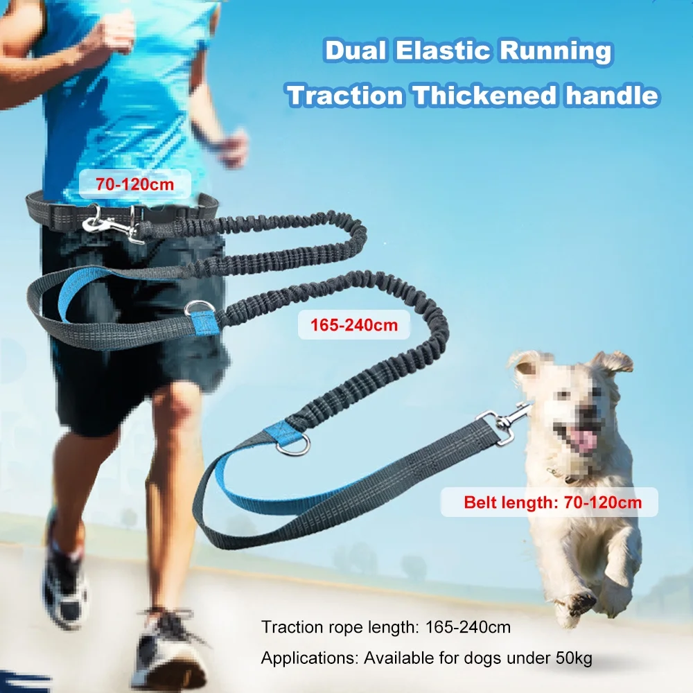 Dcenta Running Leash with Reflective Design, Double Retractable Dog Leash for Safety, Traction Rope Supplies