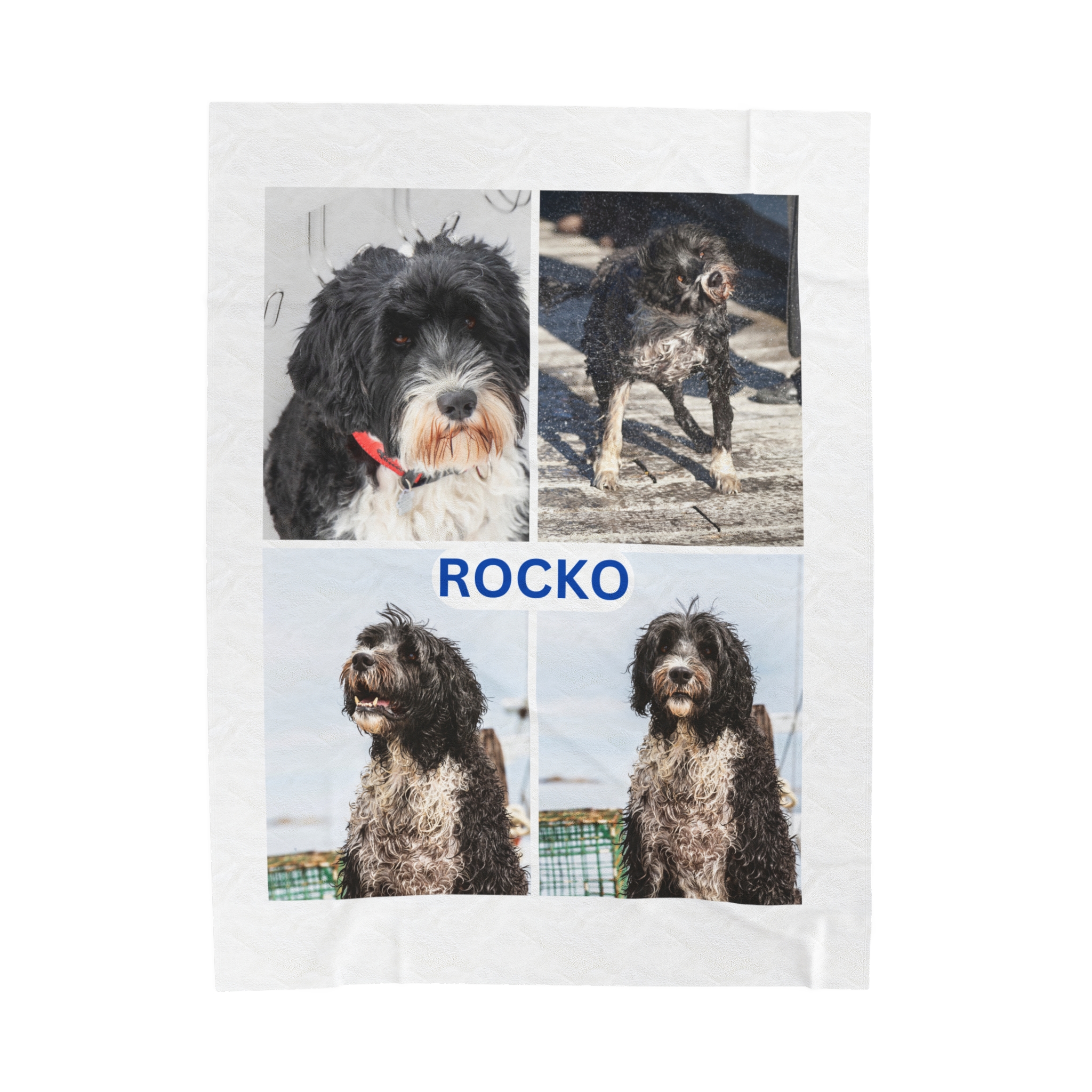 Portuguese Water Dog Custom Photo Blanket Personalized 30x40 50x60 60x80