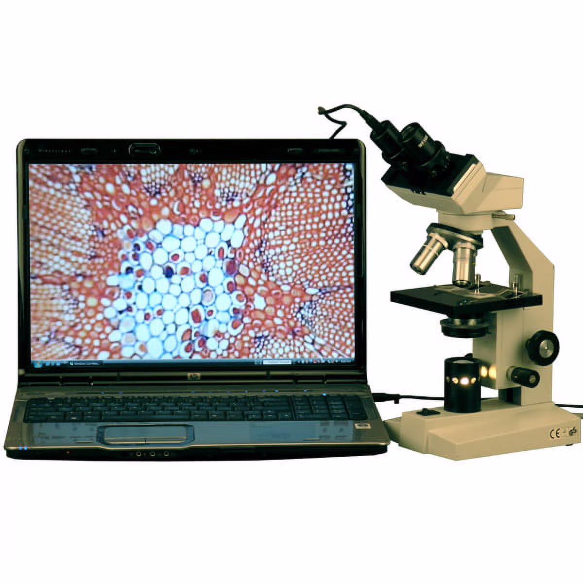 AmScope 1000X Vet High Power Binocular Microscope + 1.3MP USB Camera New