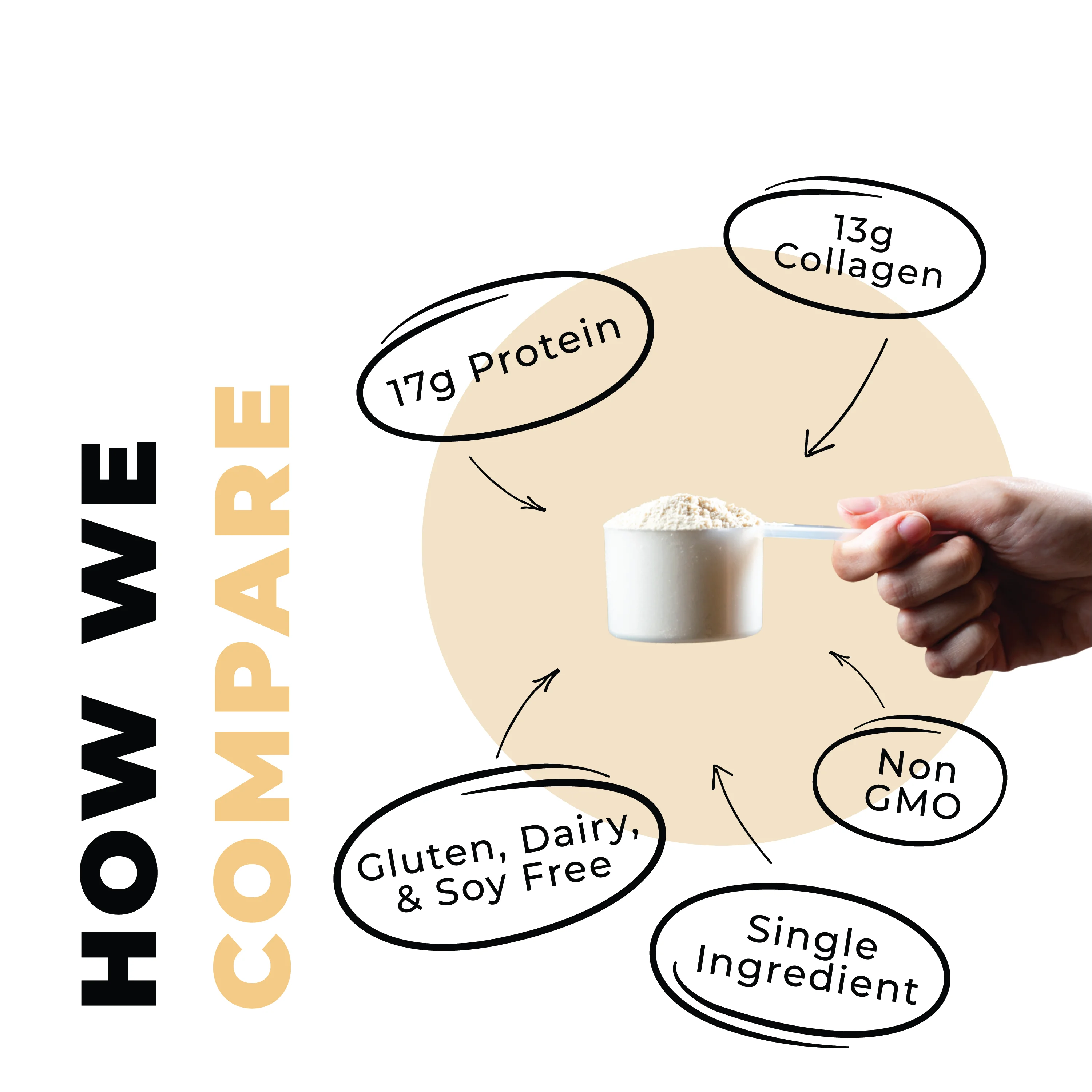 Left Coast Performance Keto Bone Broth Powder | Grass Fed Protein Powder with Collagen | Vanilla, 16 oz