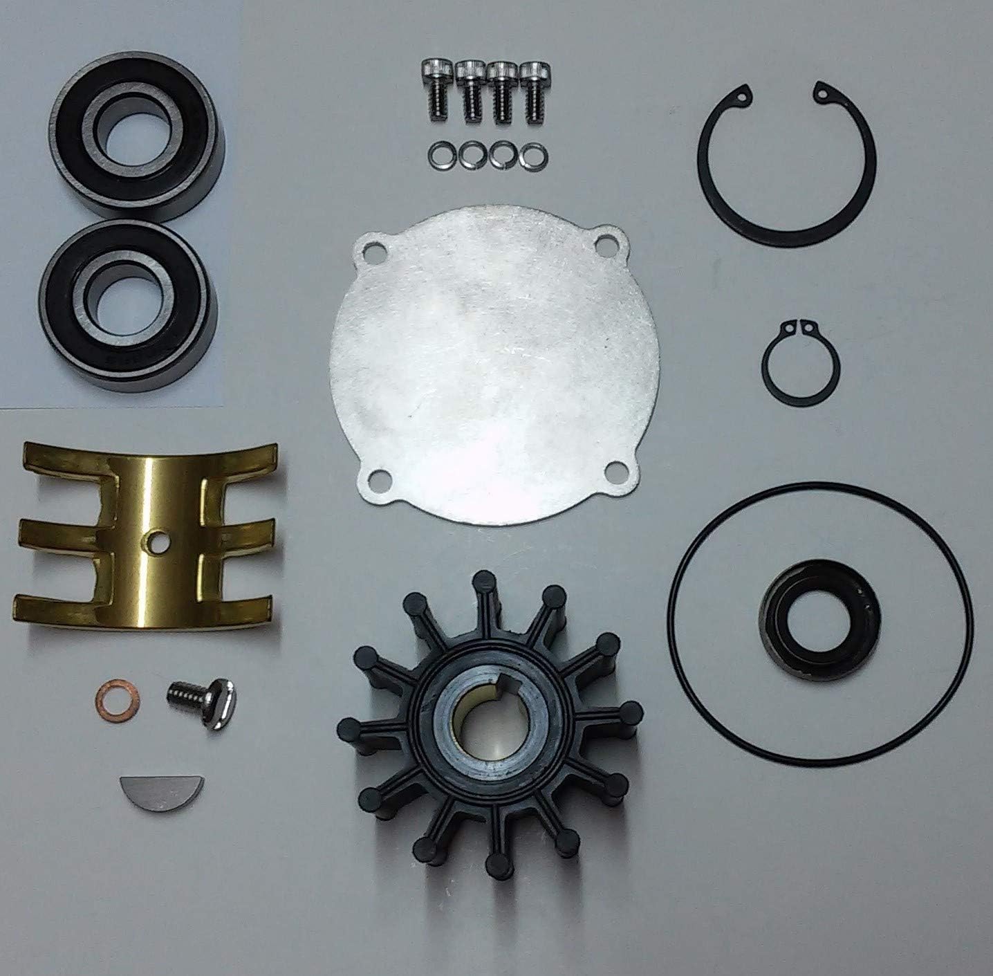 SCP Major Repair Kit For Pumps P102, P105, P109, P110