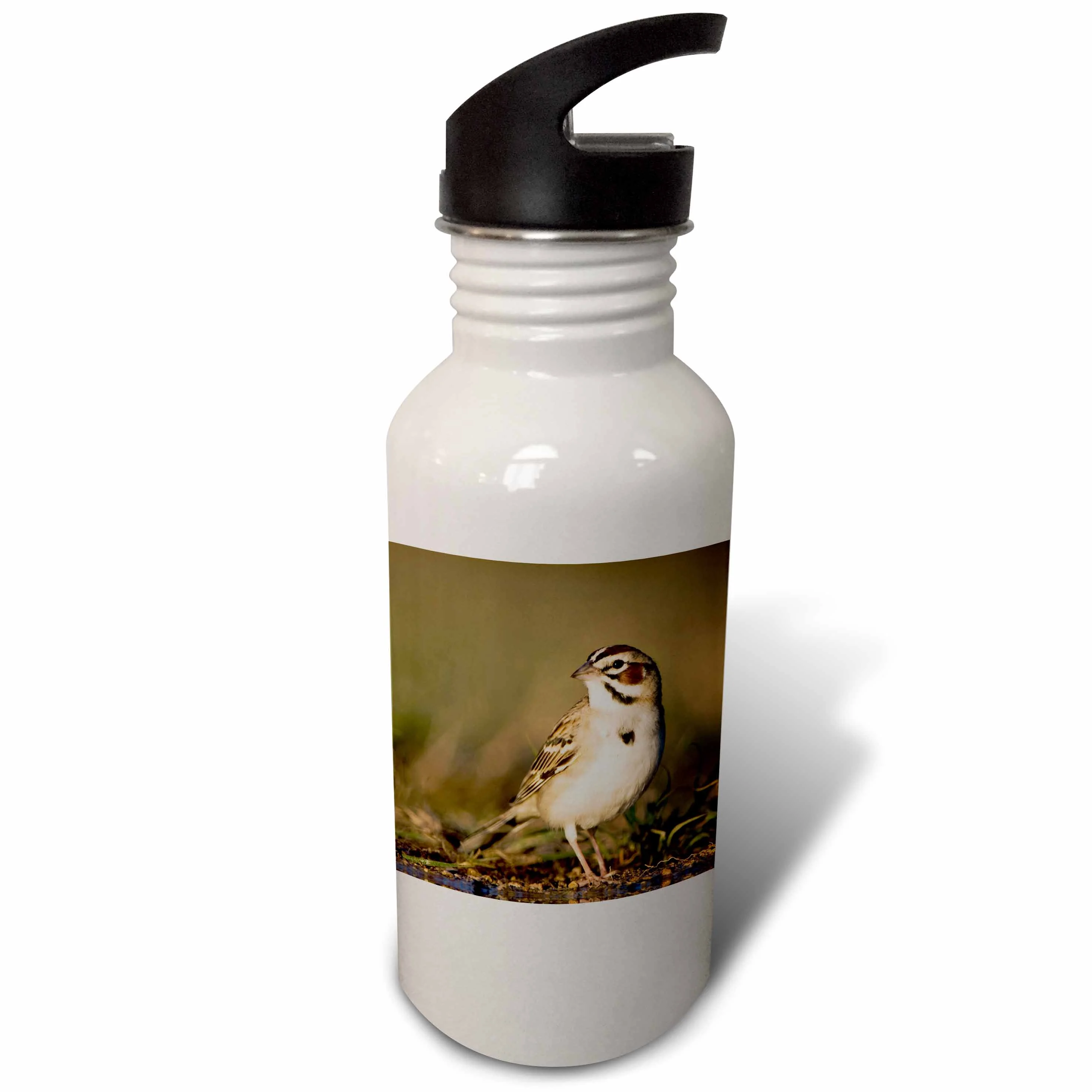 Lark Sparrow bird drinking, Hill Country, Texas - NA02 RNU0175 - Rolf Nussbaumer 21 oz Sports Water Bottle wb-84294-1
