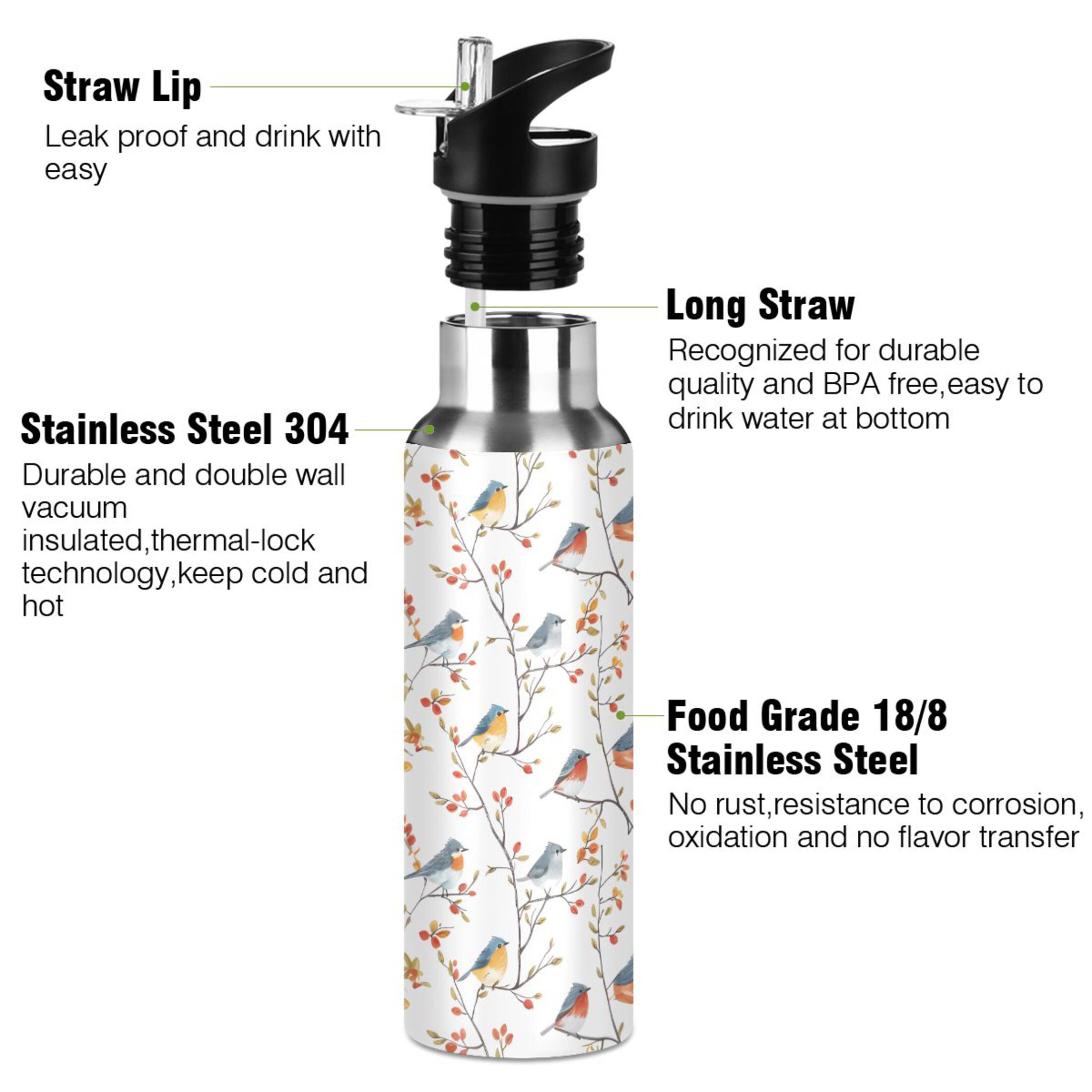 Birds on Branches Water Bottles Insulated Thermos Kids Stainless Steel Bottle with Straw Lid Flask Leakproof for Sports Gym 20 oz