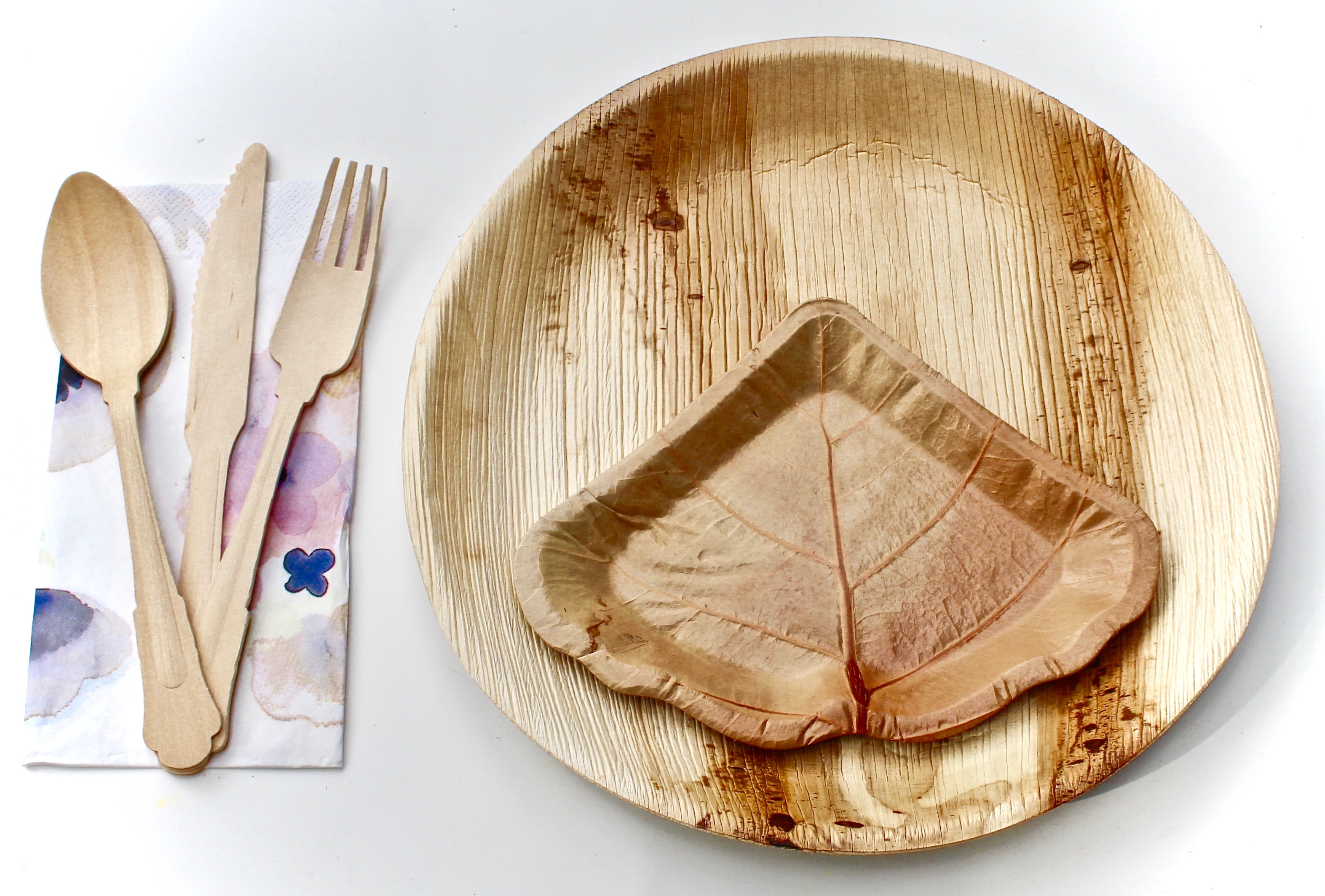 Party Palm Leaf Plates 10 Pic Round 10