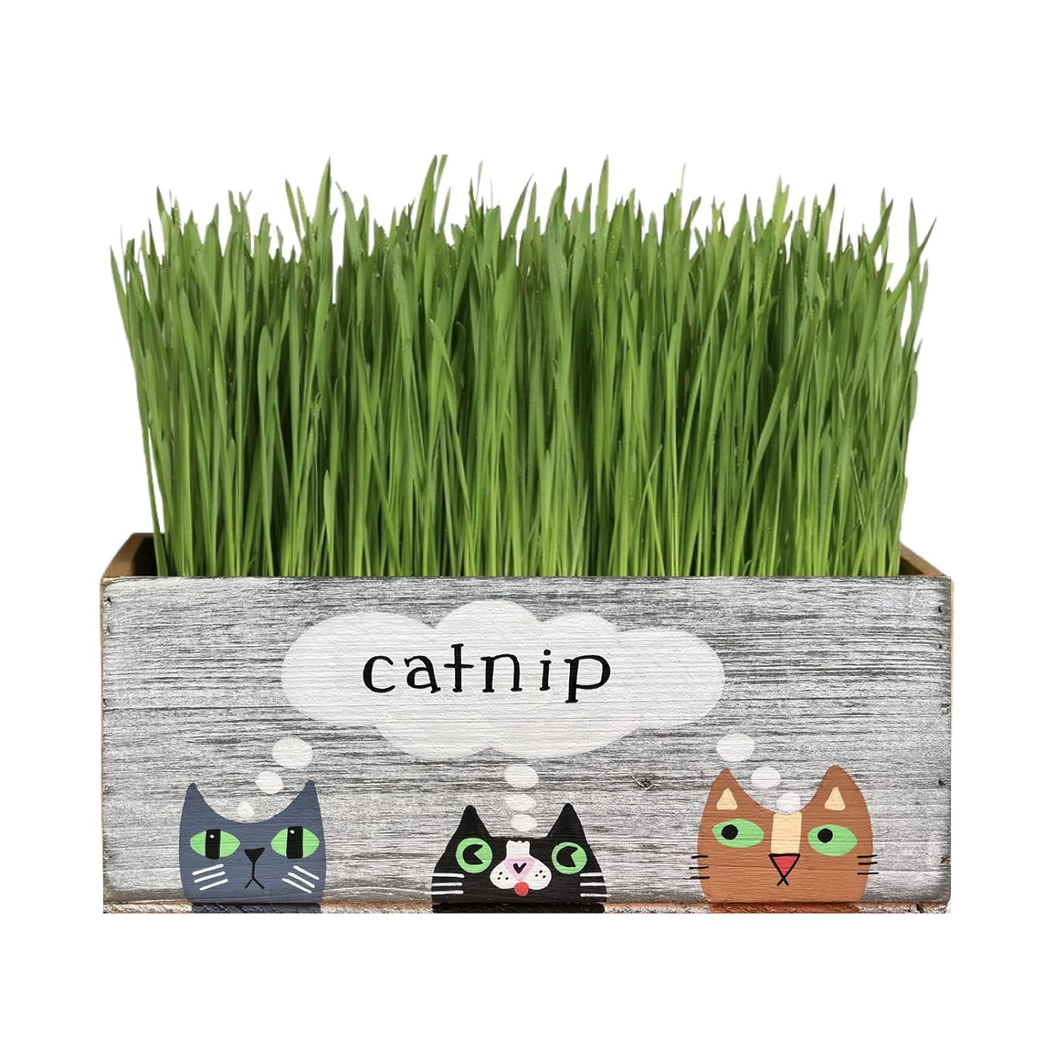 Catnip Planter, Cat Nip Decorative Box For Plants, Cat Toys, Treats, Cute Gift For Cat Lovers