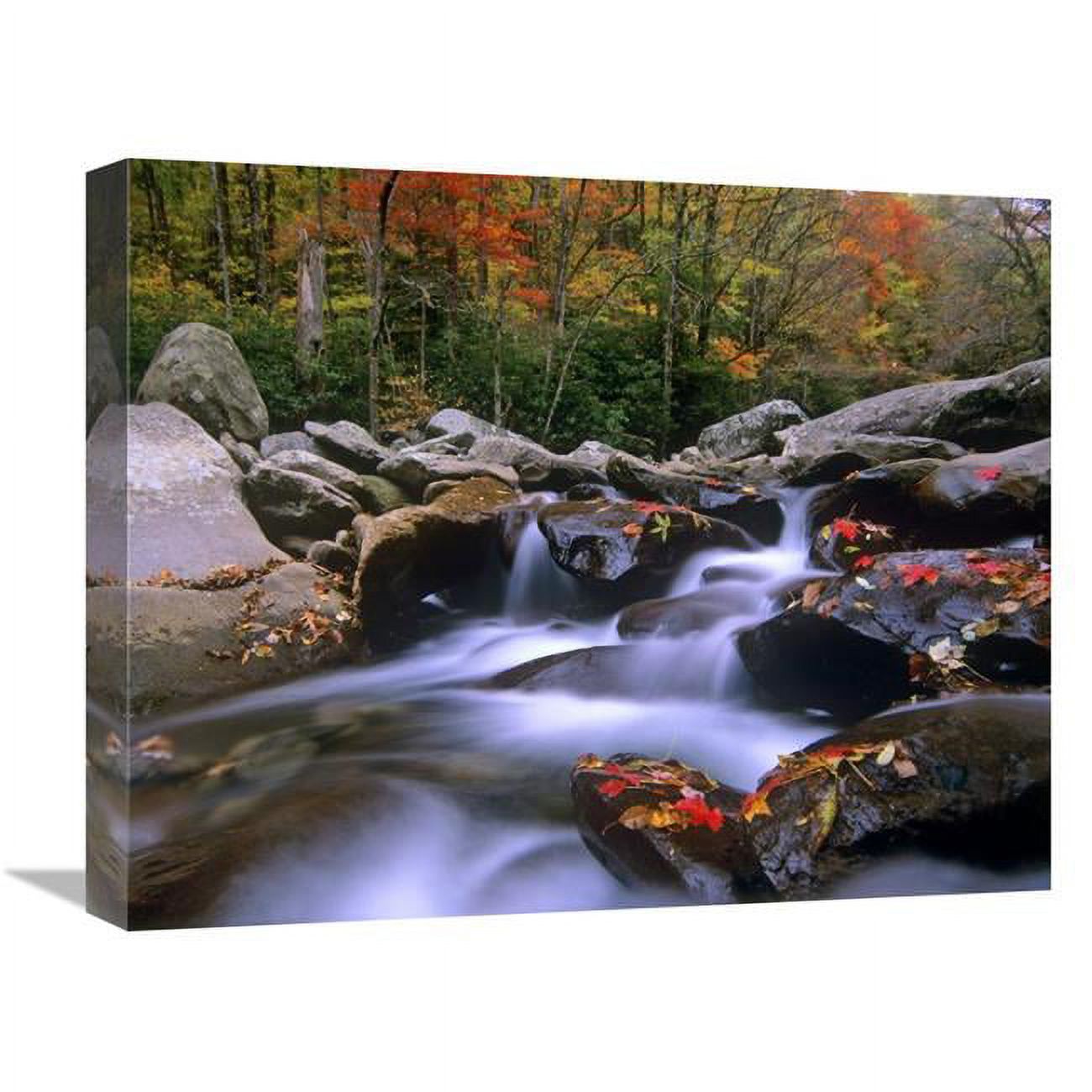 16 x 20 in. Little Pigeon River Cascading Among Rocks & Colorful Maple Leaves, Great Smoky Mountains National Park, Tennessee Art Print - Tim Fitzharris