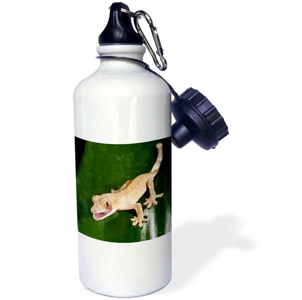 Juvenile Crested Gecko, lizard - NA02 DNO0683 - David Northcott 21 oz Sports Water Bottle wb-84030-1