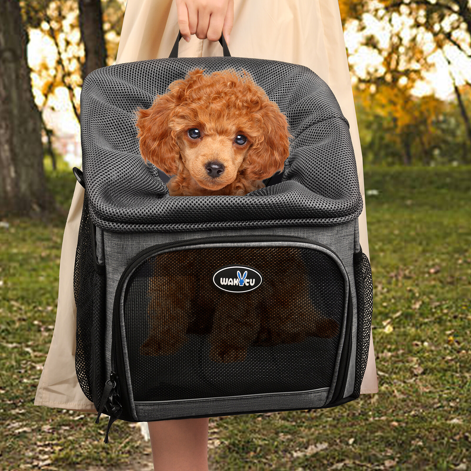 Pet Bicycle Carrier Backpack Dog Bike Basket Carrier Foldable Removable