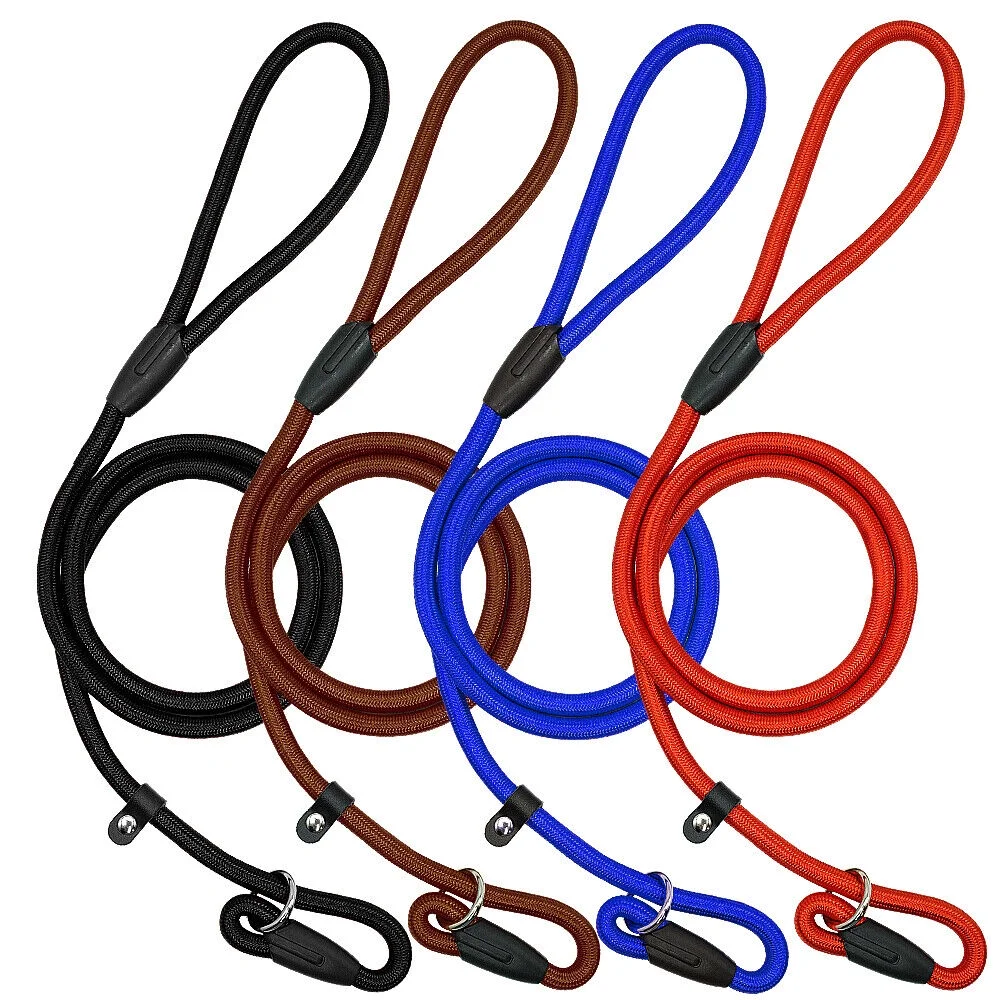 5ft Slip Lead Dog Leash Nylon Rolled Rope Pet Collar Obedience Recall Training
