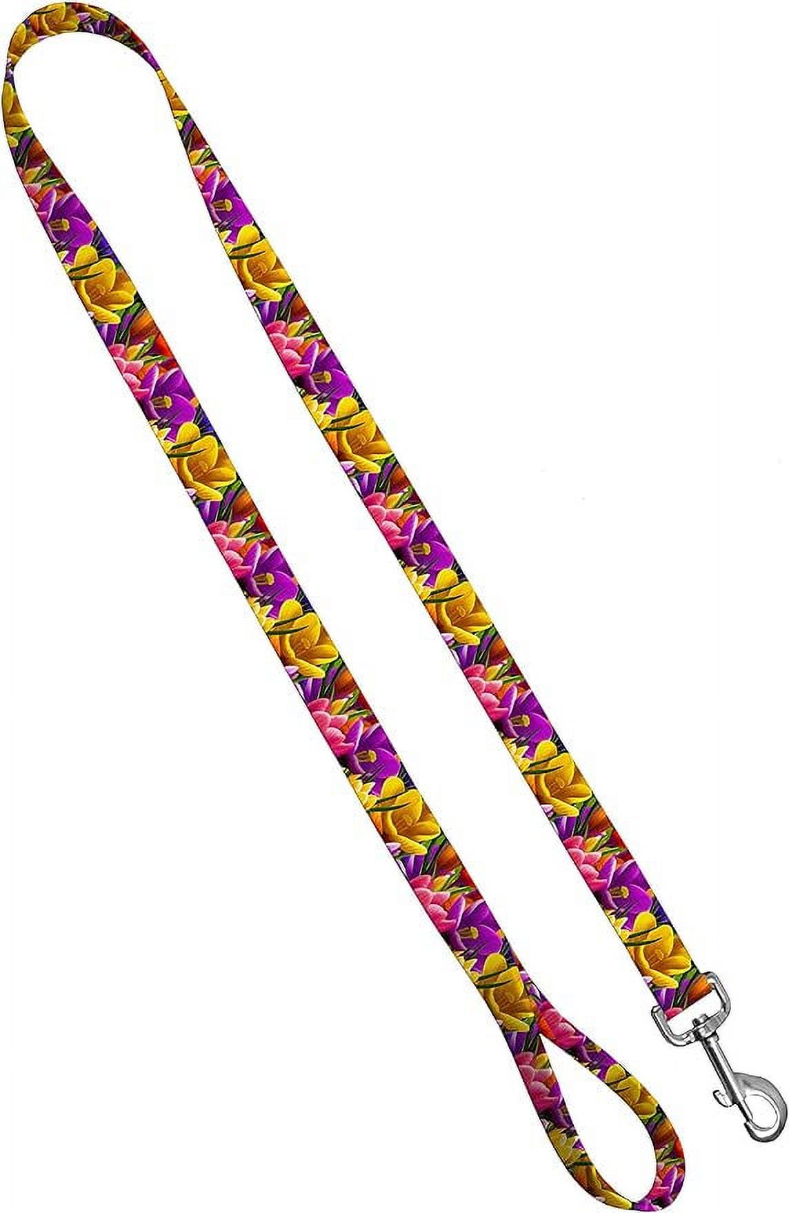 Moose Racing Floral Print Dog Leash - Cute Female Floral Print Dog Leash Waterproof with Easy Grip Loop – 1 Inch x 4 Feet, Spring Bloom
