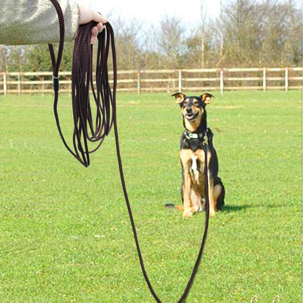 10/16/33/66ft Long Strong Dog Tracking Leash Braided Rope Large Dogs Training