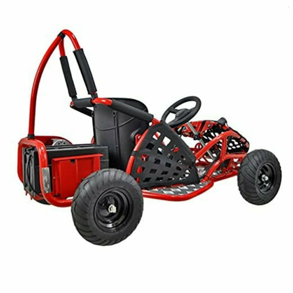 Electric Go Kart, 1000W 48V Powered Ride On Toy, Ride On Car for Boys and girls