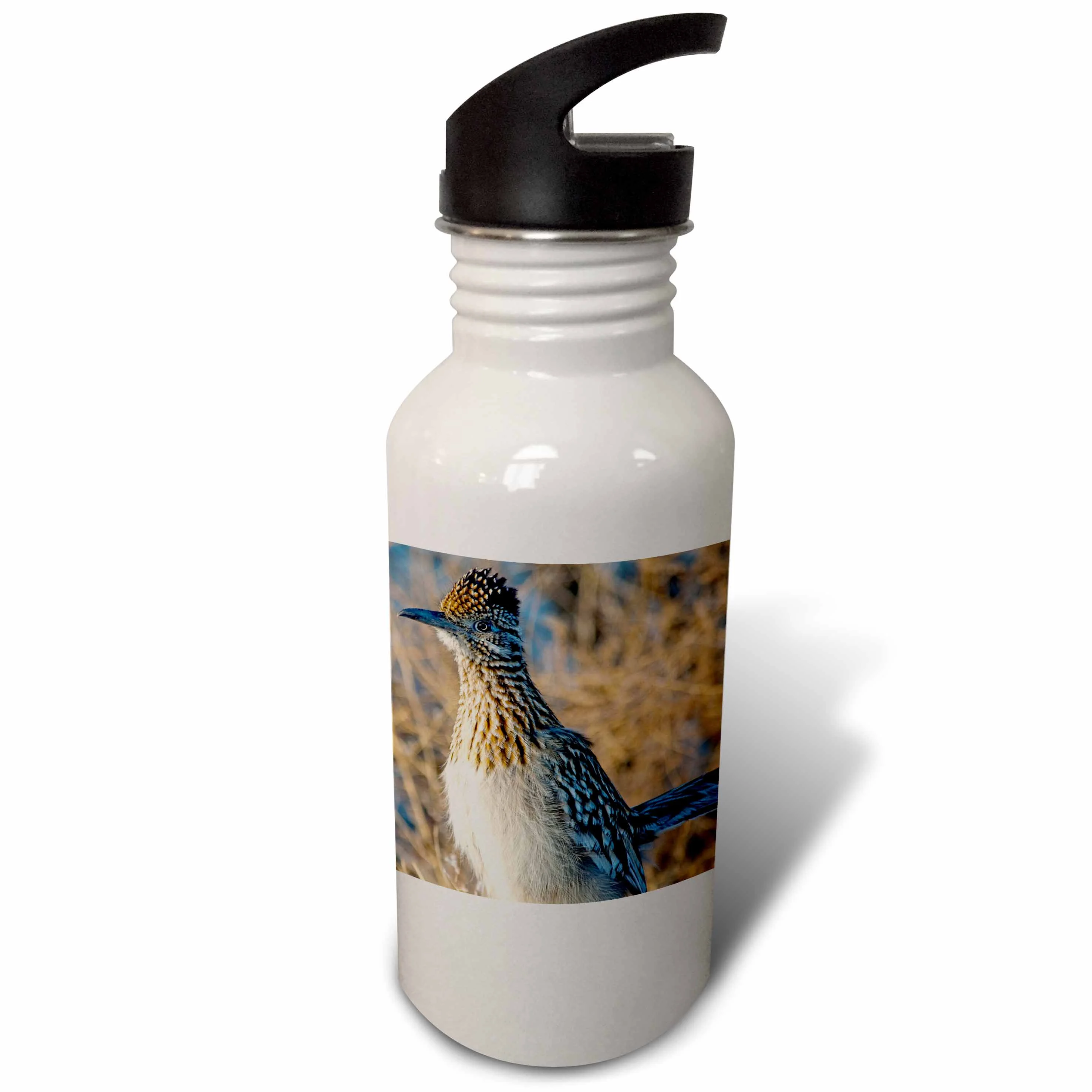 Roadrunner bird, Bosque del apache NWR, New Mexico - US32 CHA0044 - Chuck Haney 21 oz Sports Water Bottle wb-92596-1