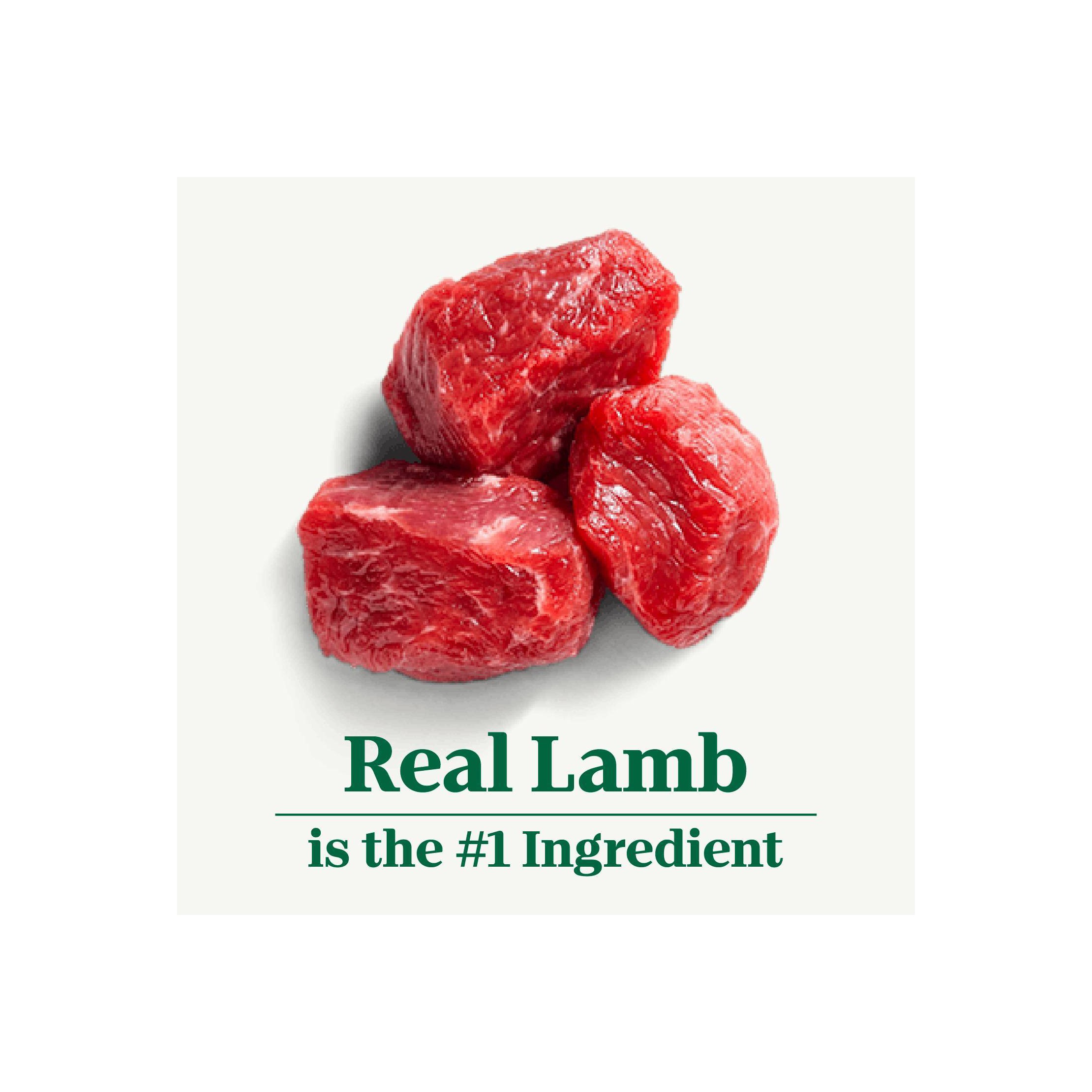 Natural Choice Lamb & Brown Rice Adult Dry Dog Food - 30lbs