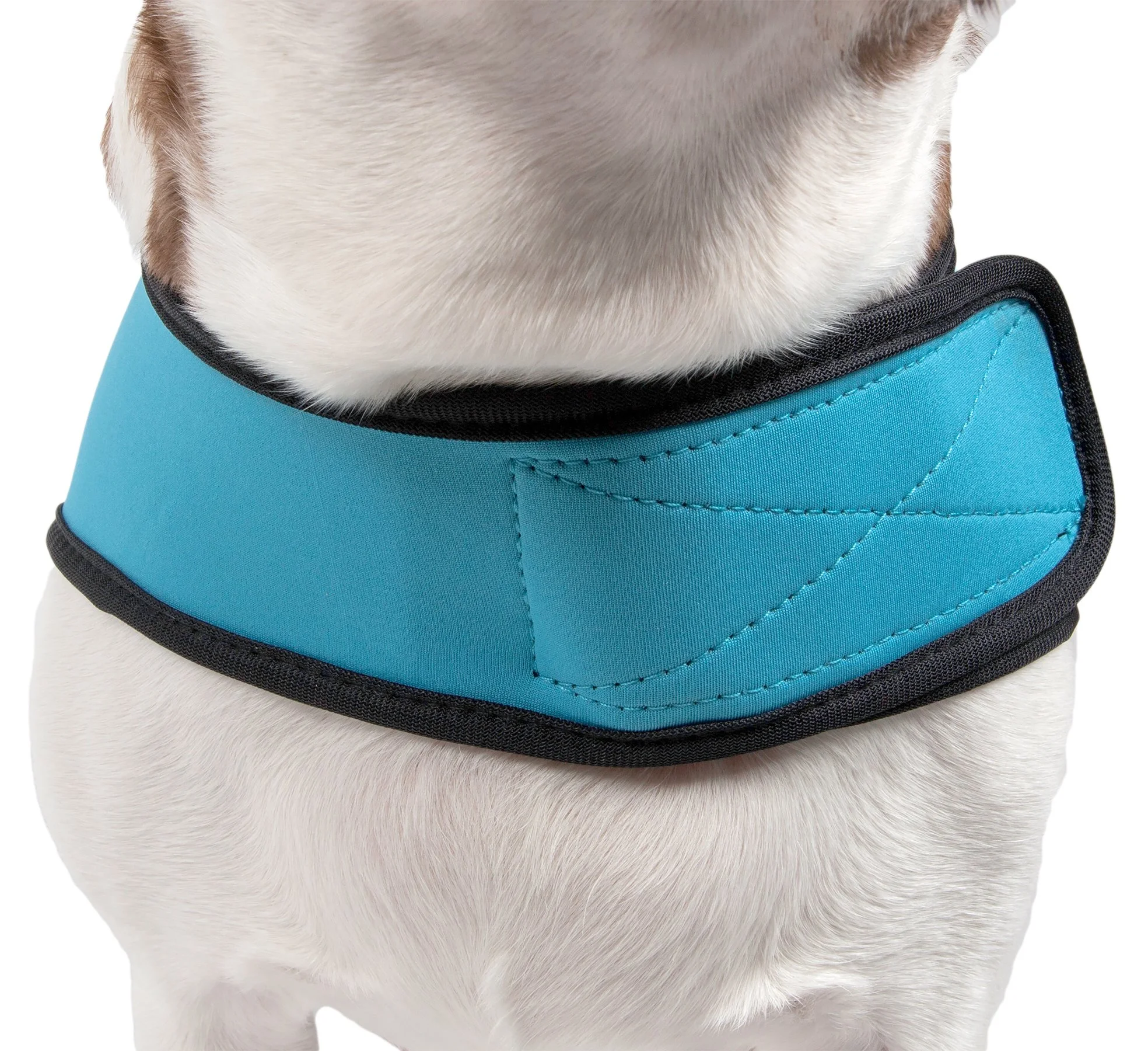 Pet Life ® 'Extreme Neoprene' Multi-Purpose Protective and Reflective Rash Guard Dog Coat