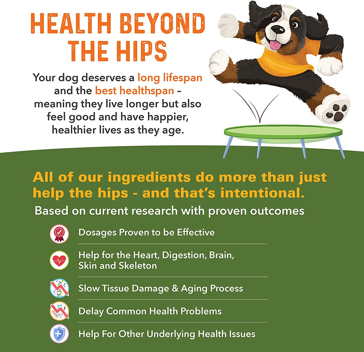 Bernie's Healthy Hips - Daily Dog Hip and Joint Supplement - 90 Soft Chews - Reduce Pain, Encourage Mobility, Slow Damage, Repair and Rebuild Hips and Joint Tissues