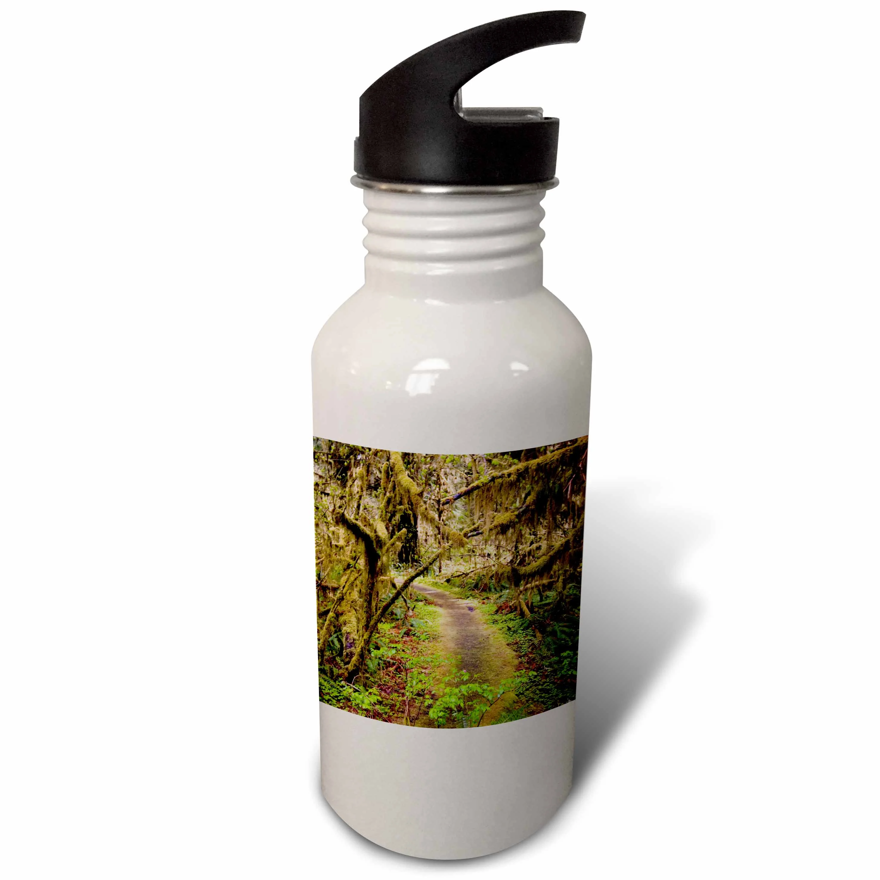 Hoh Rainforest, Olympic Peninsula, Washington - US48 MWR0008 - Micah Wright 21 oz Sports Water Bottle wb-96515-1