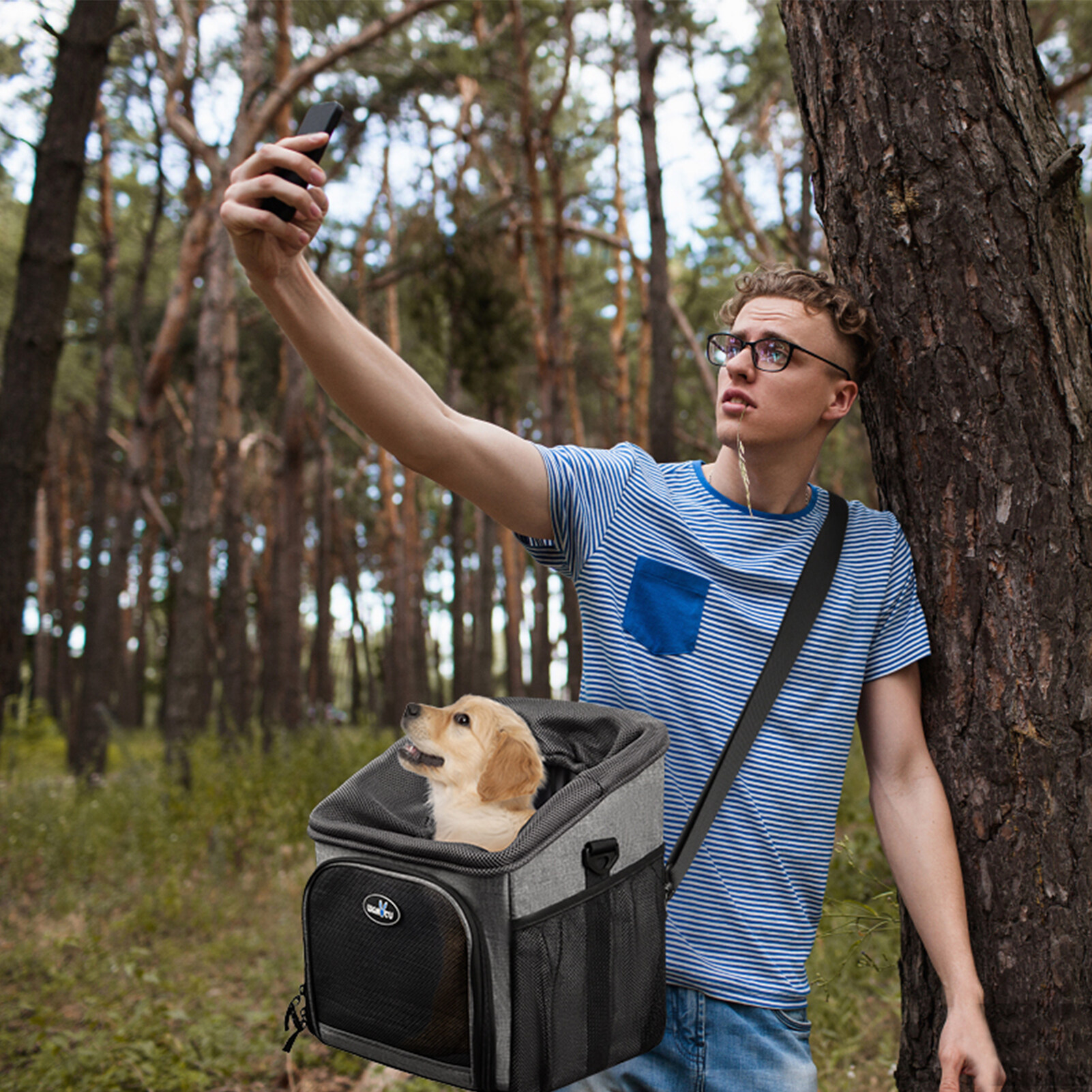 Pet Bicycle Carrier Backpack Dog Bike Basket Carrier Foldable Removable