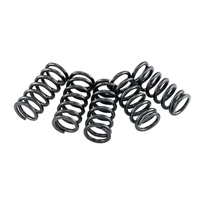 EBC Clutch Spring Set For TM, Husqvarna, KTM