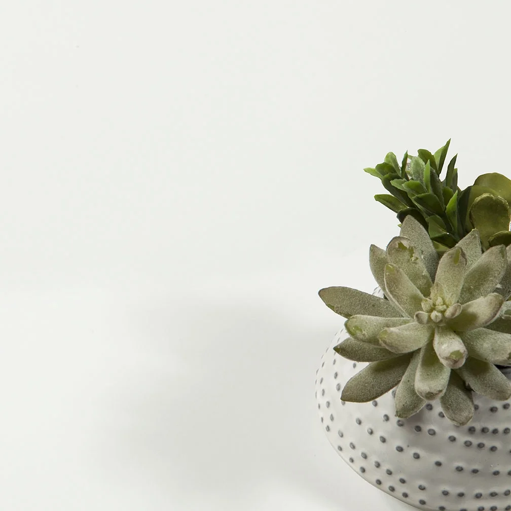 Maison Park 5 Drawer Chest, White