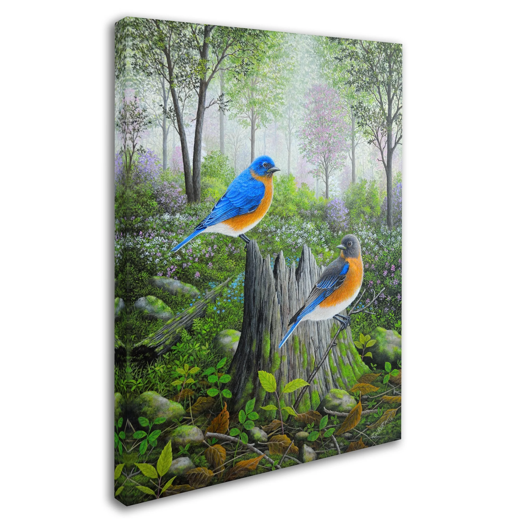 Trademark Fine Art 'Spring Bluebirds' Canvas Art by Robert Wavra