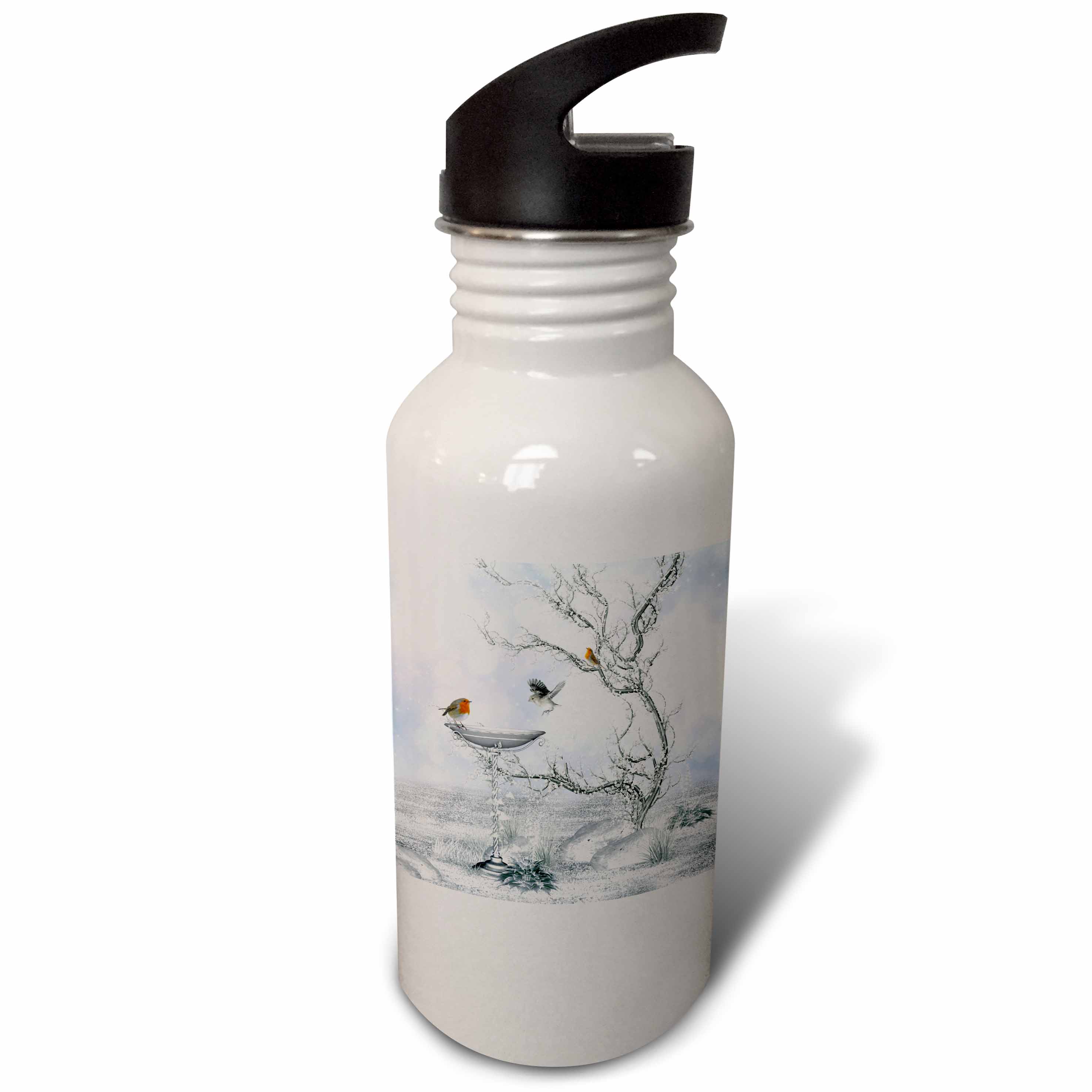 Winter landscape bird snow ice bush 21 oz Sports Water Bottle wb-172217-1