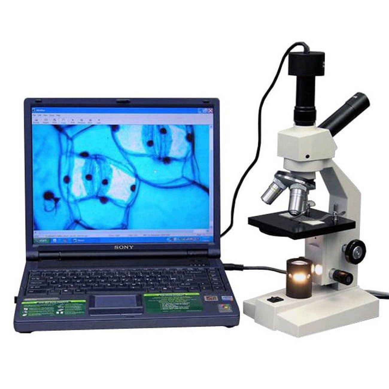 AmScope D100B 40X-800X Biological Dual-View Compound Microscope