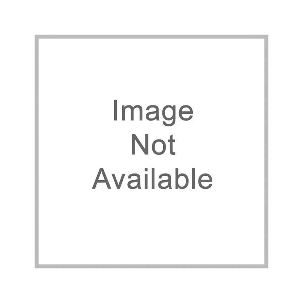 Oneida F1040000705 9 oz Espree Odyssey Cream White Bouillon Cups