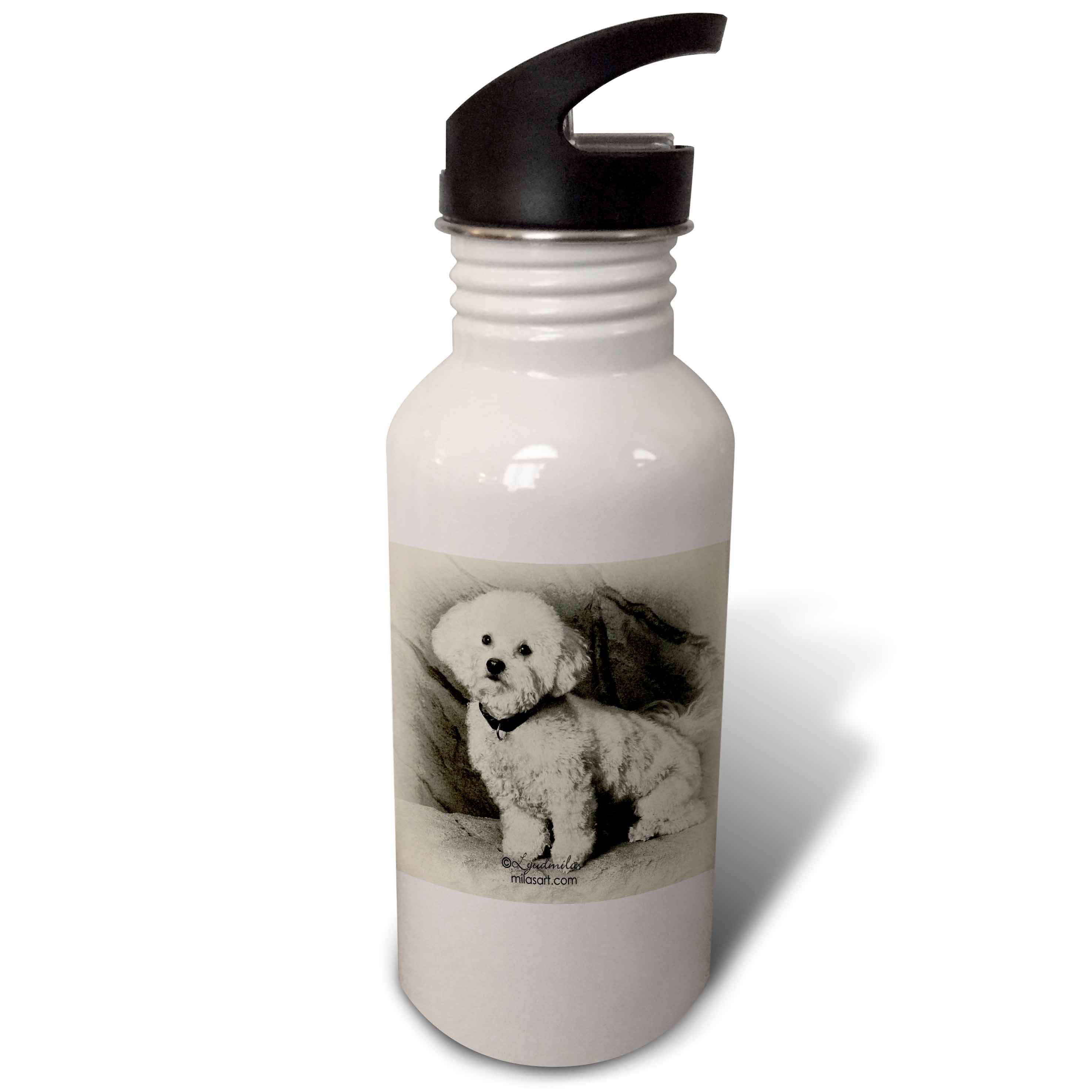 3dRose Bichon Frise, Sports Water Bottle, 21oz