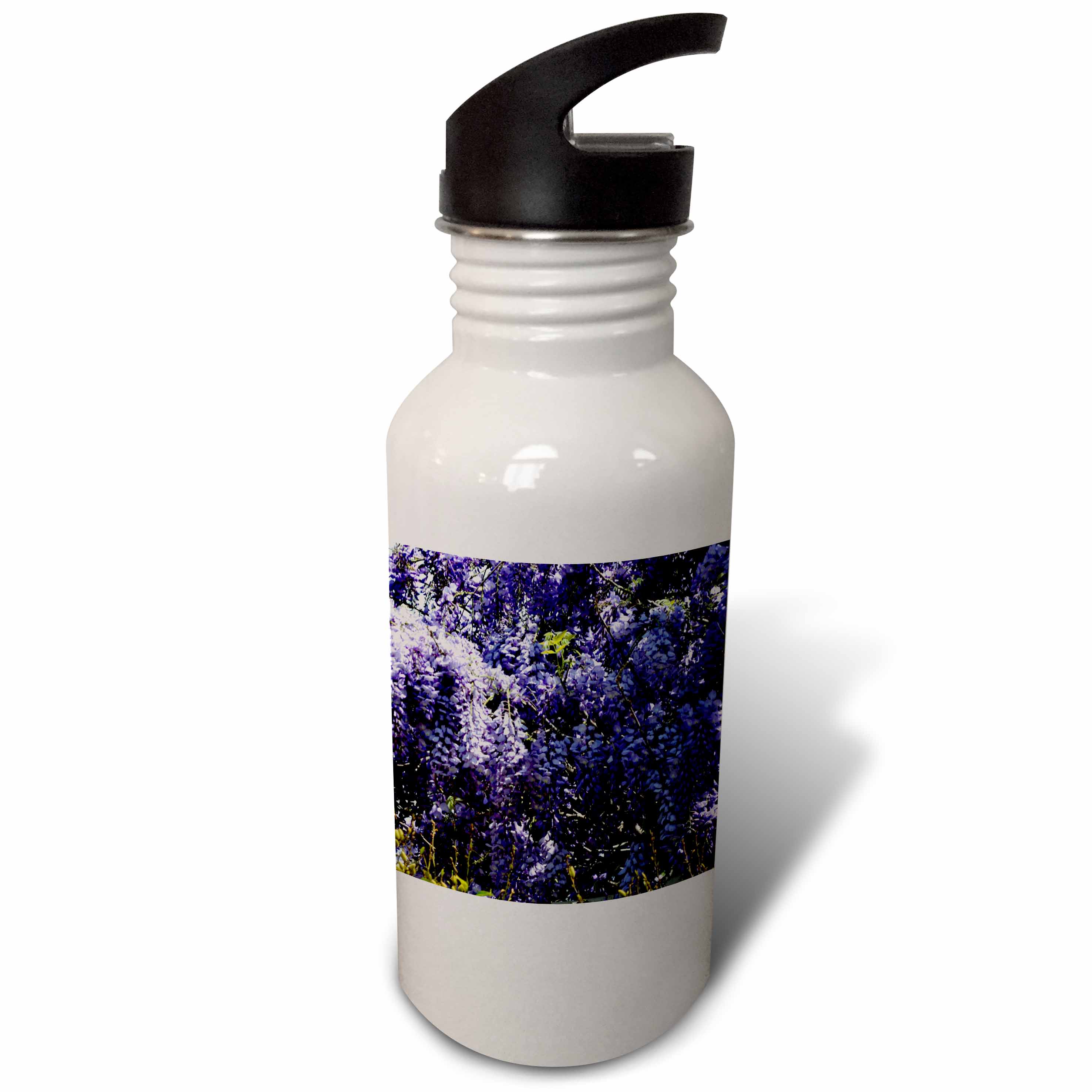 A patch of beautiful purple wisteria 21 oz Sports Water Bottle wb-161007-1