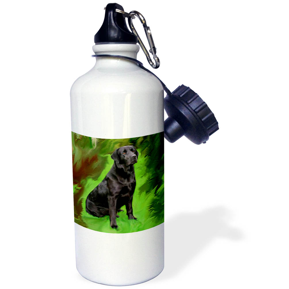 3dRose Black Labrador Retriever, Sports Water Bottle, 21oz
